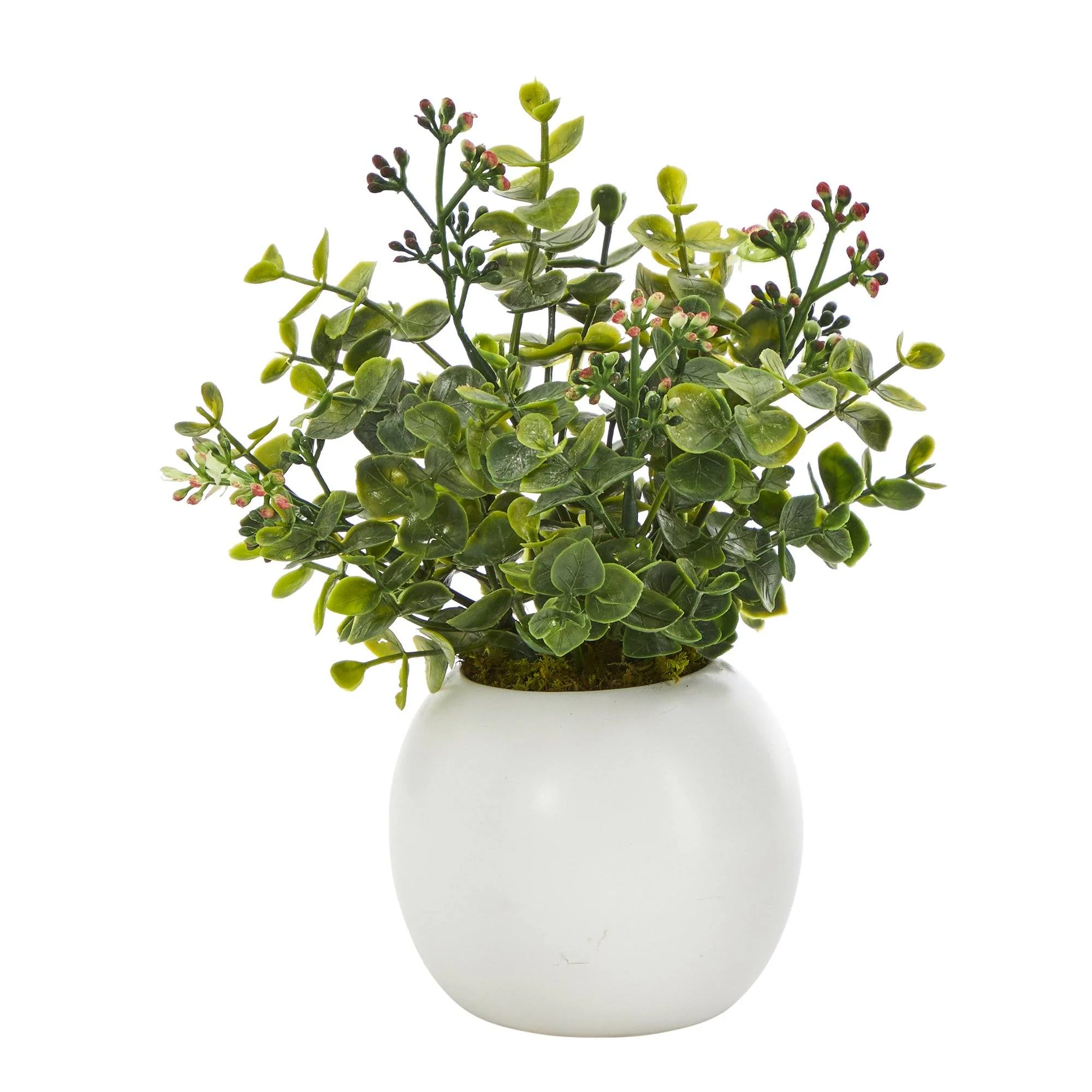 9” Eucalyptus and Sedum Succulent Artificial Plant in White Planter - Image 3