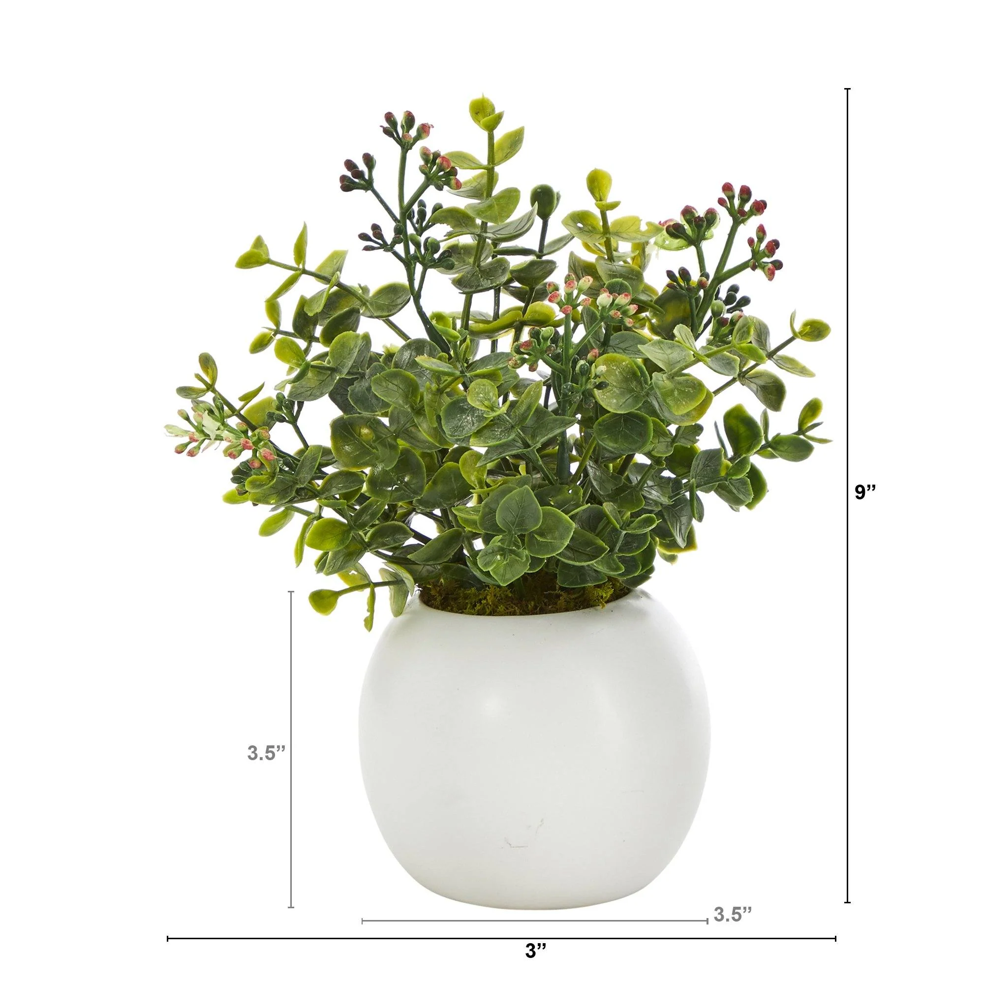 9” Eucalyptus and Sedum Succulent Artificial Plant in White Planter - Image 4