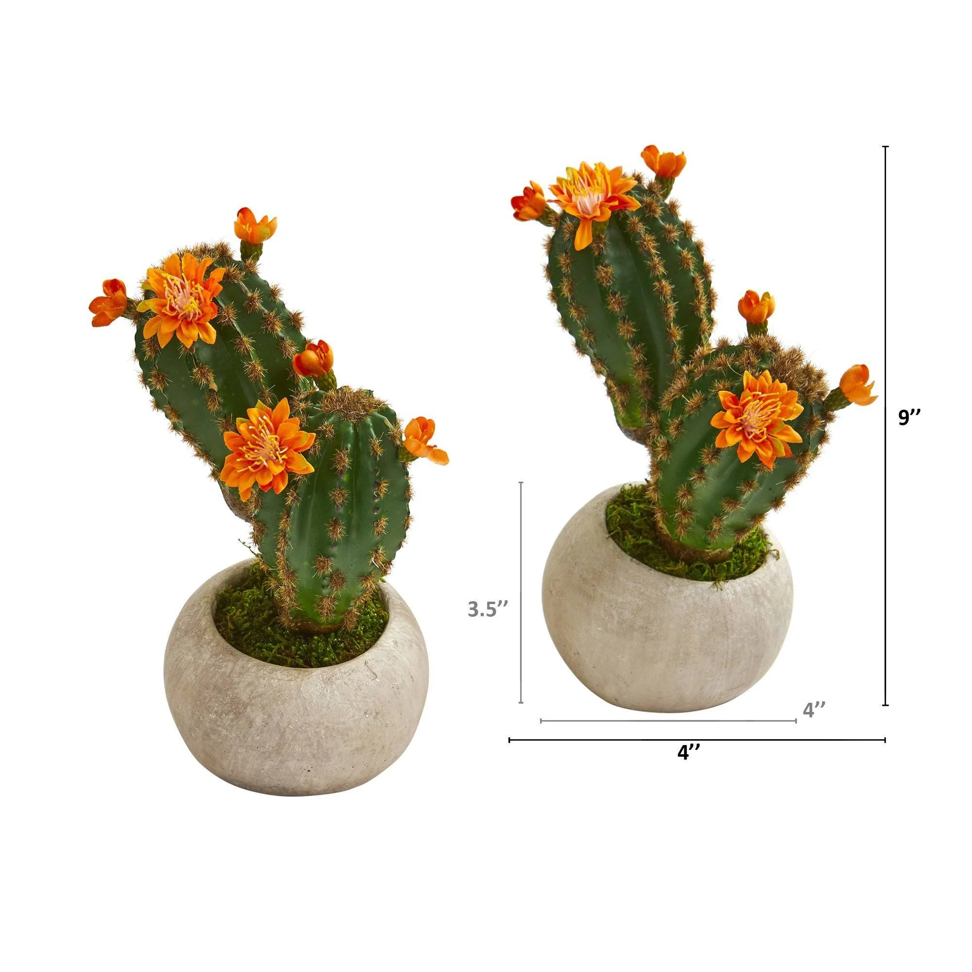 9” Flowering Cactus Succulent Artificial Plant in Stone Planter (Set of 2) - Image 2