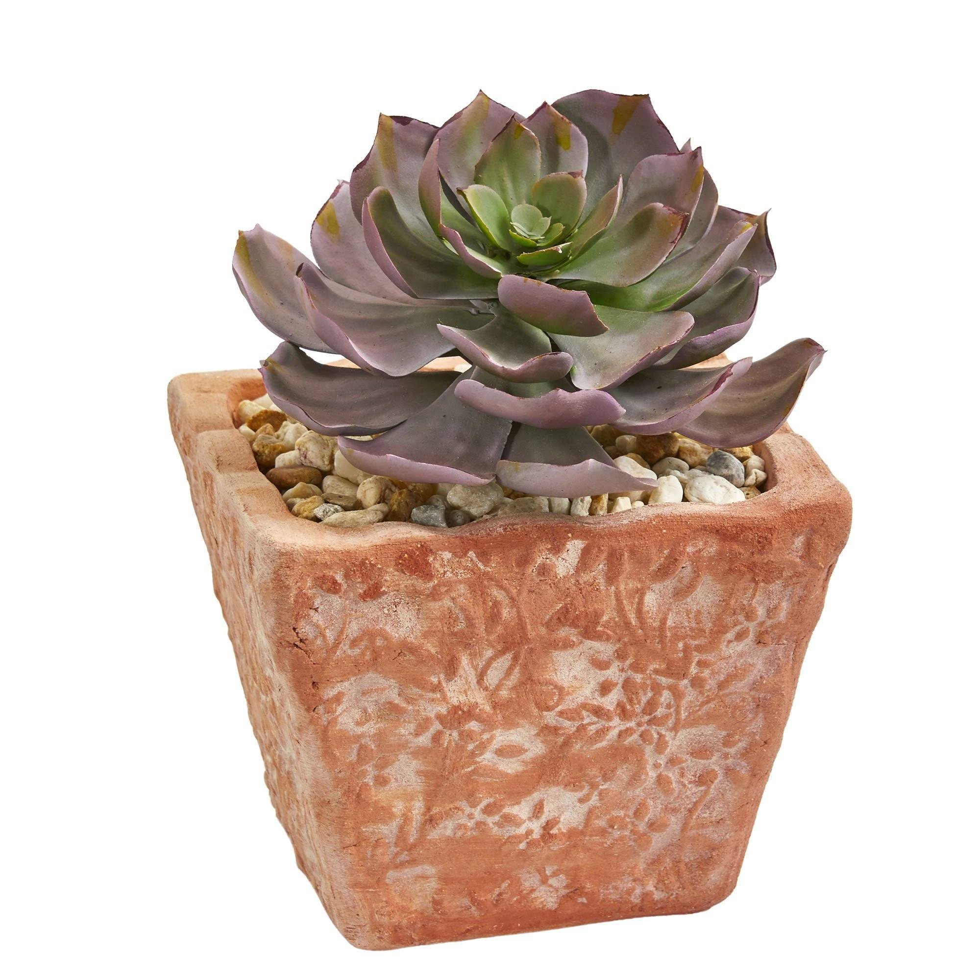 9” Mixed Succulent Artificial Plant in Terra Cotta Planter (Set of 2) - Image 2