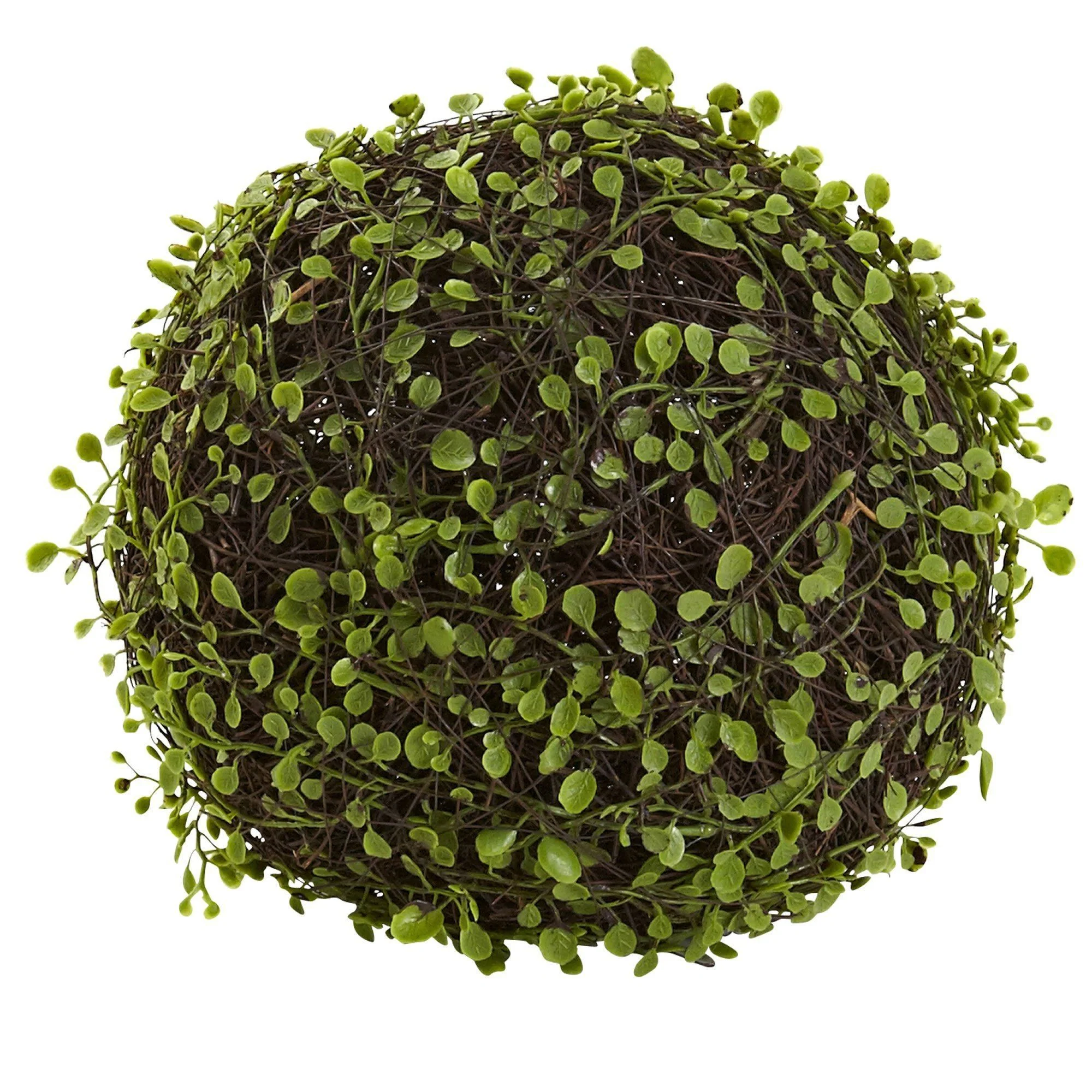 9” Mohlenbechia Ball (Set of 2) - Image 2
