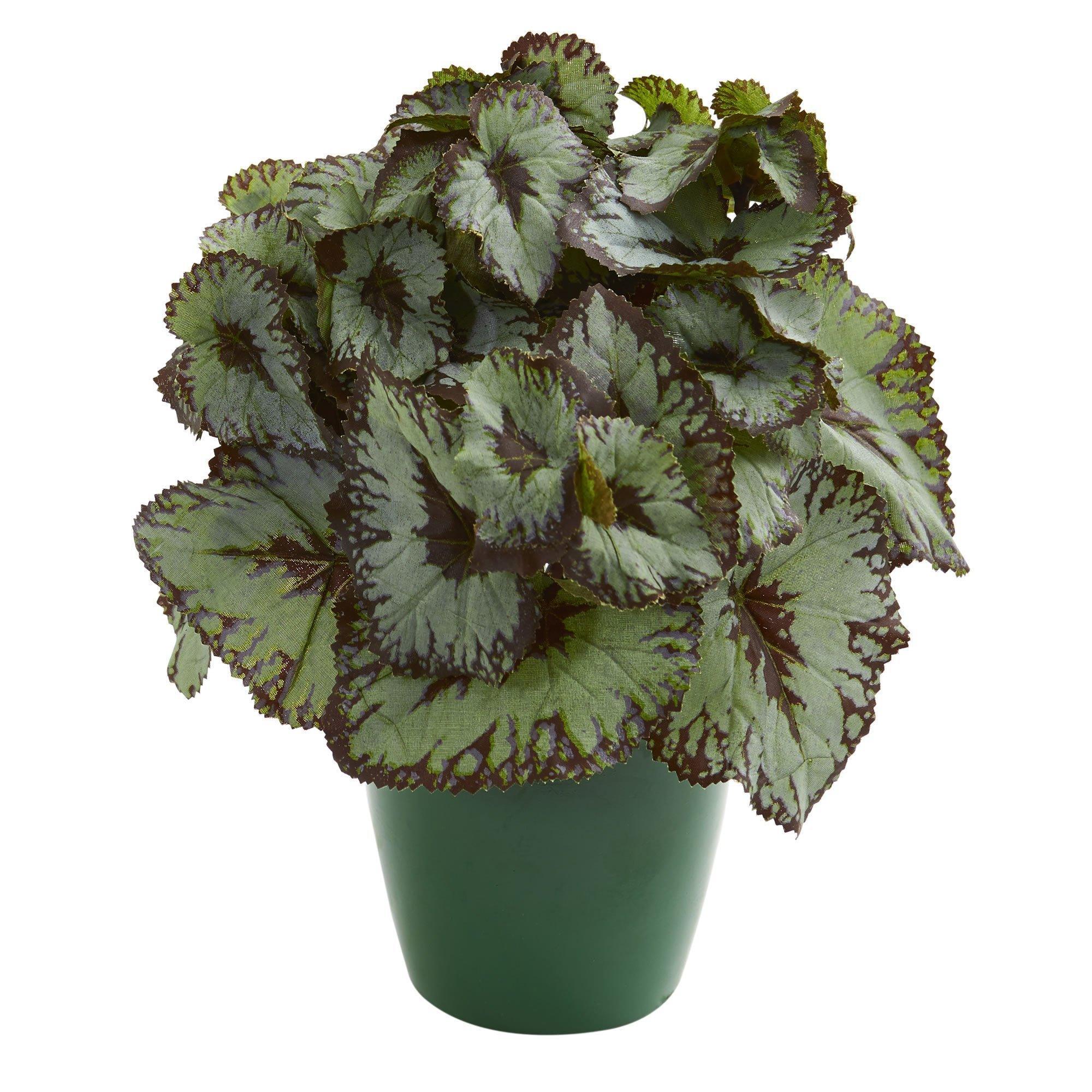Rex Begonia Artificial Plant in Green Planter (Set of 2) - Image 2