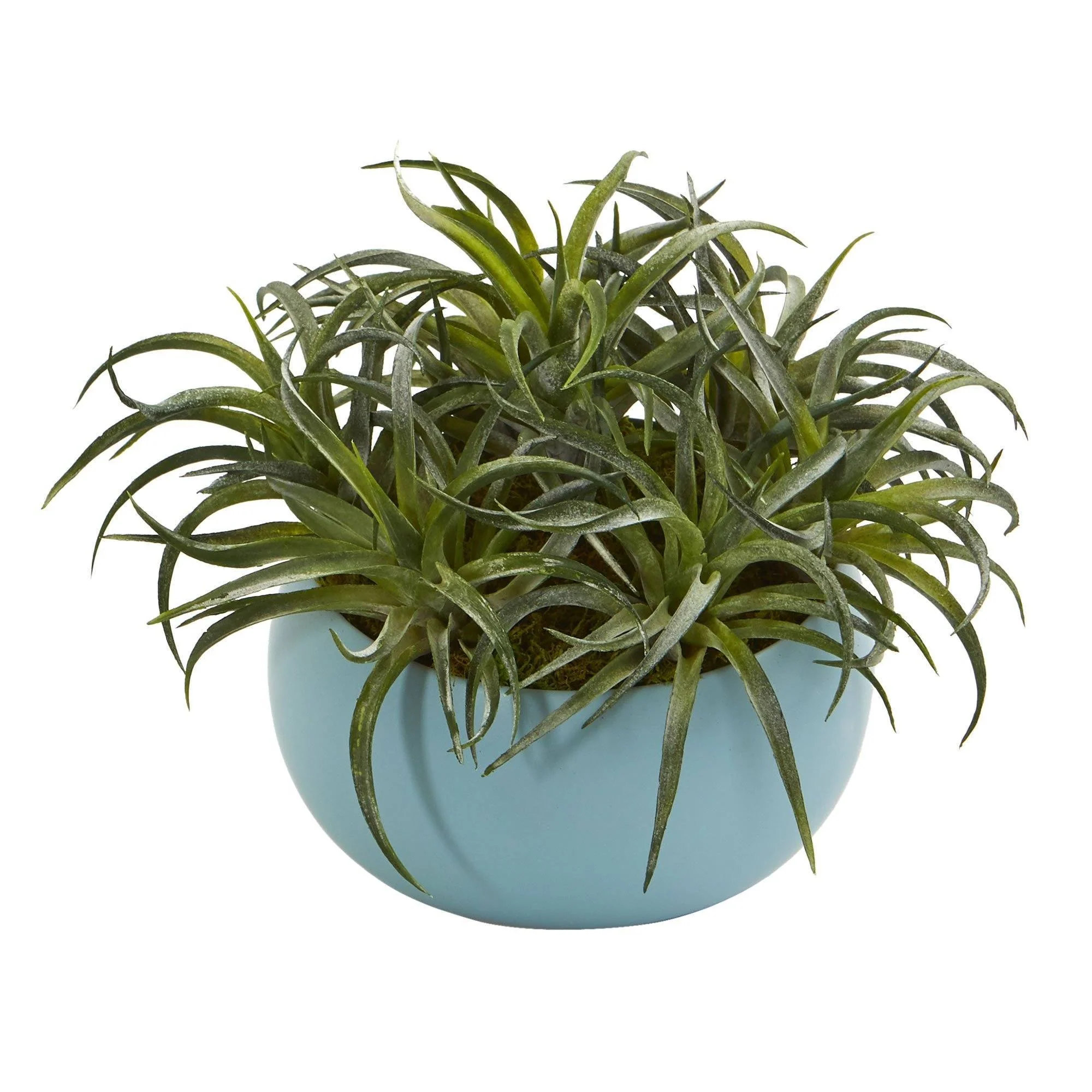 9” Succulent Artificial Plant in Blue Planter - Image 2