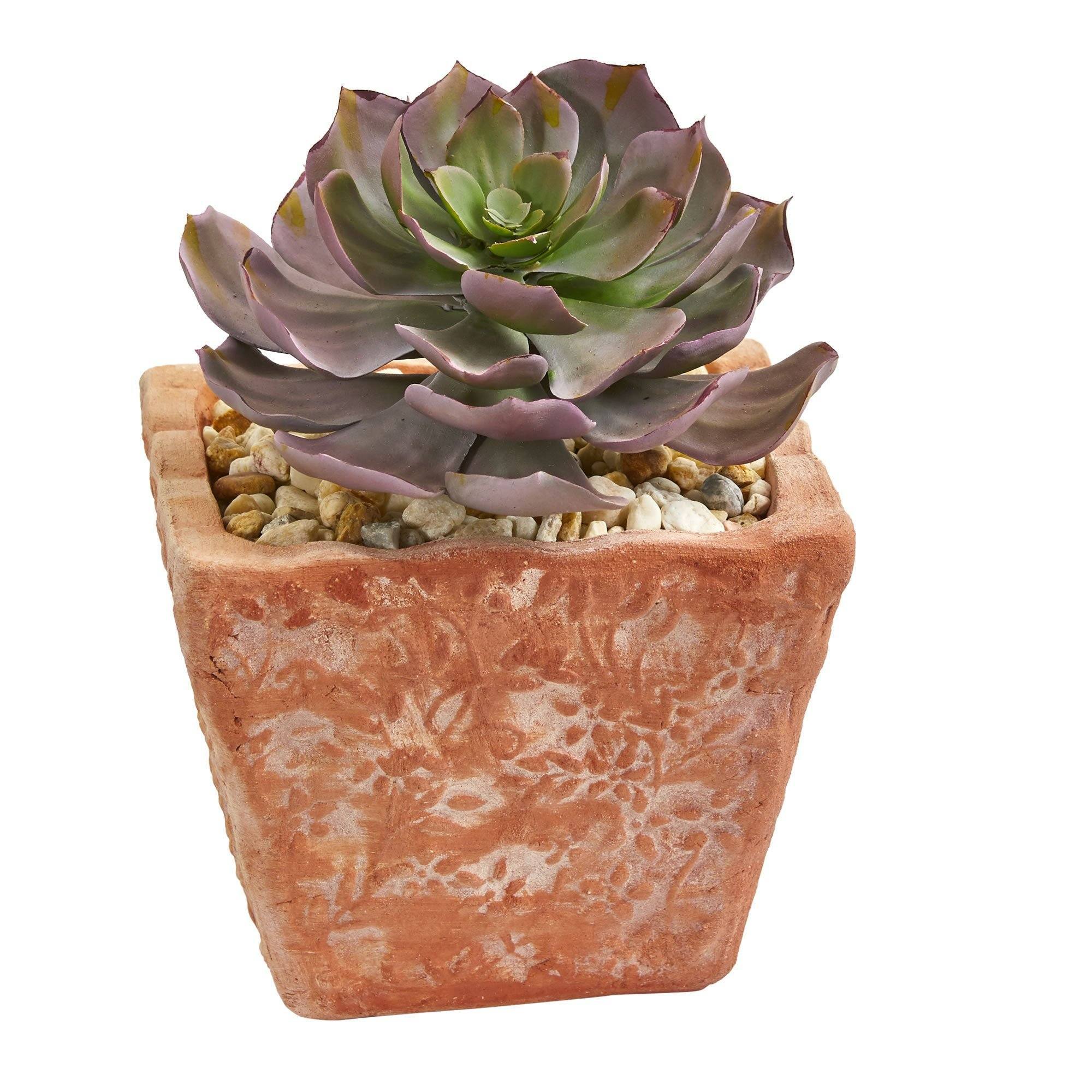9” Succulent Artificial Plant in Terra Cotta Planter (Set of 2) - Image 2