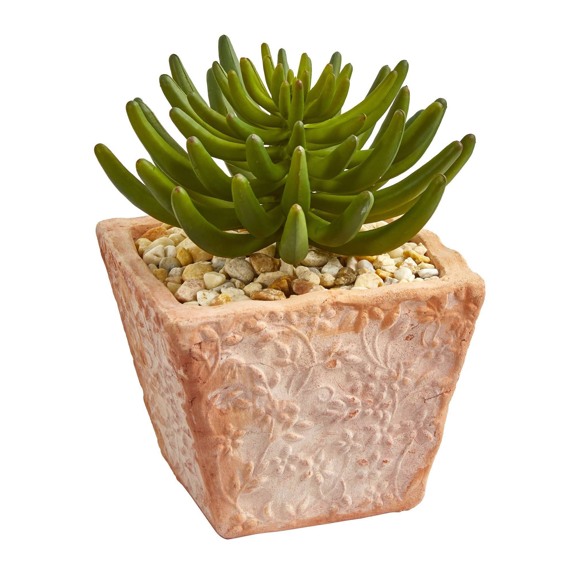 9” Succulent Artificial Plant in Terra Cotta Planter (Set of 2) - Image 3