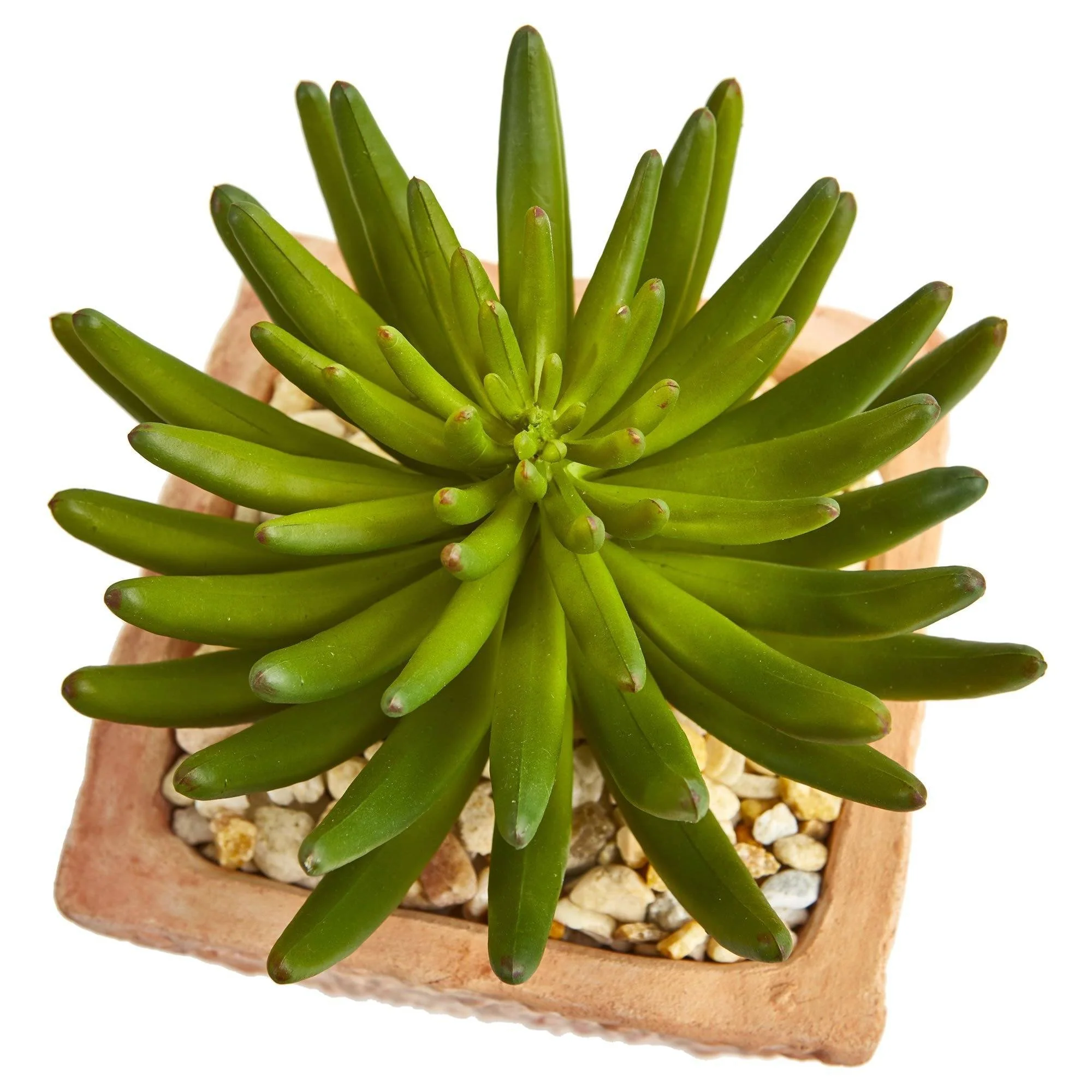 9” Succulent Artificial Plant in Terra Cotta Planter (Set of 2) - Image 4