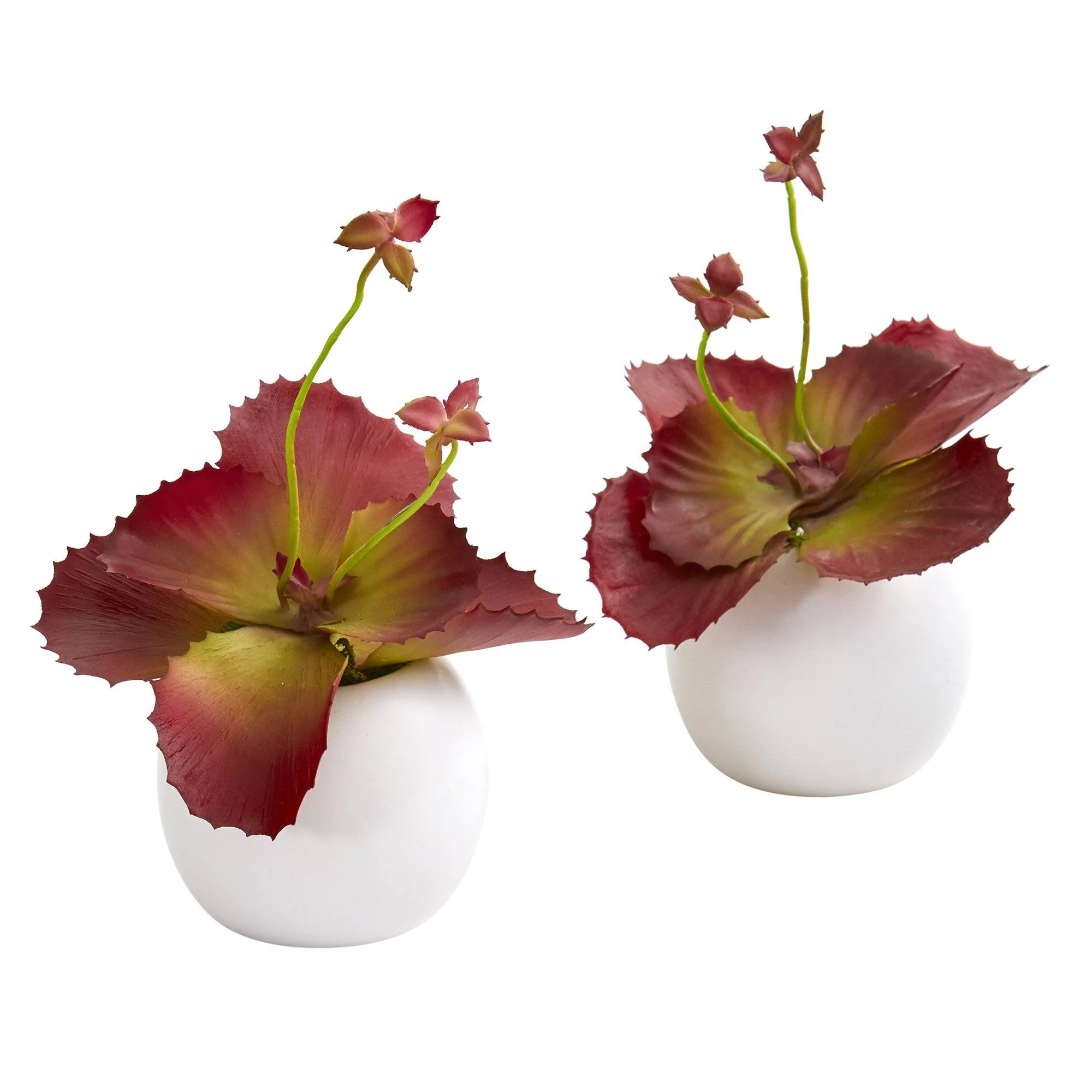 9” Succulent Artificial Plant in White Planter (Set of 2) - Image 3