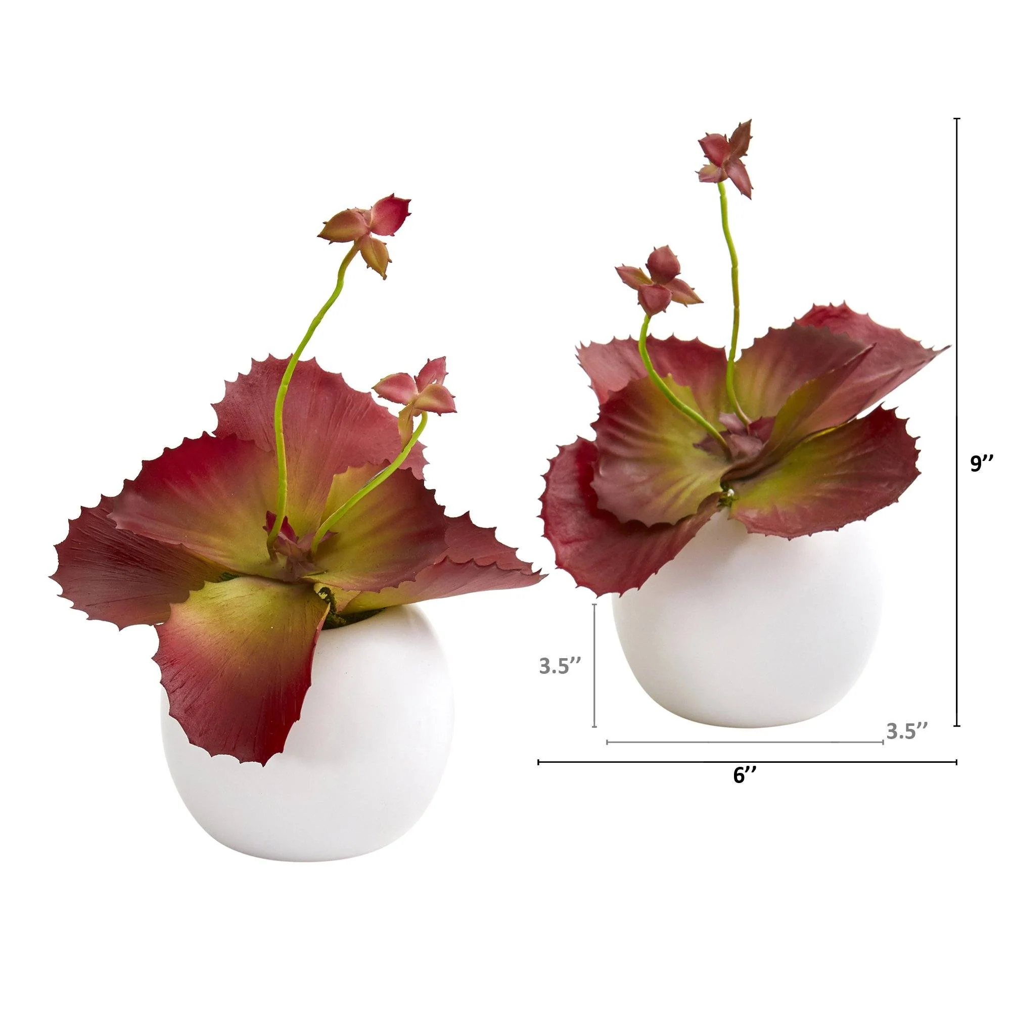 9” Succulent Artificial Plant in White Planter (Set of 2) - Image 4