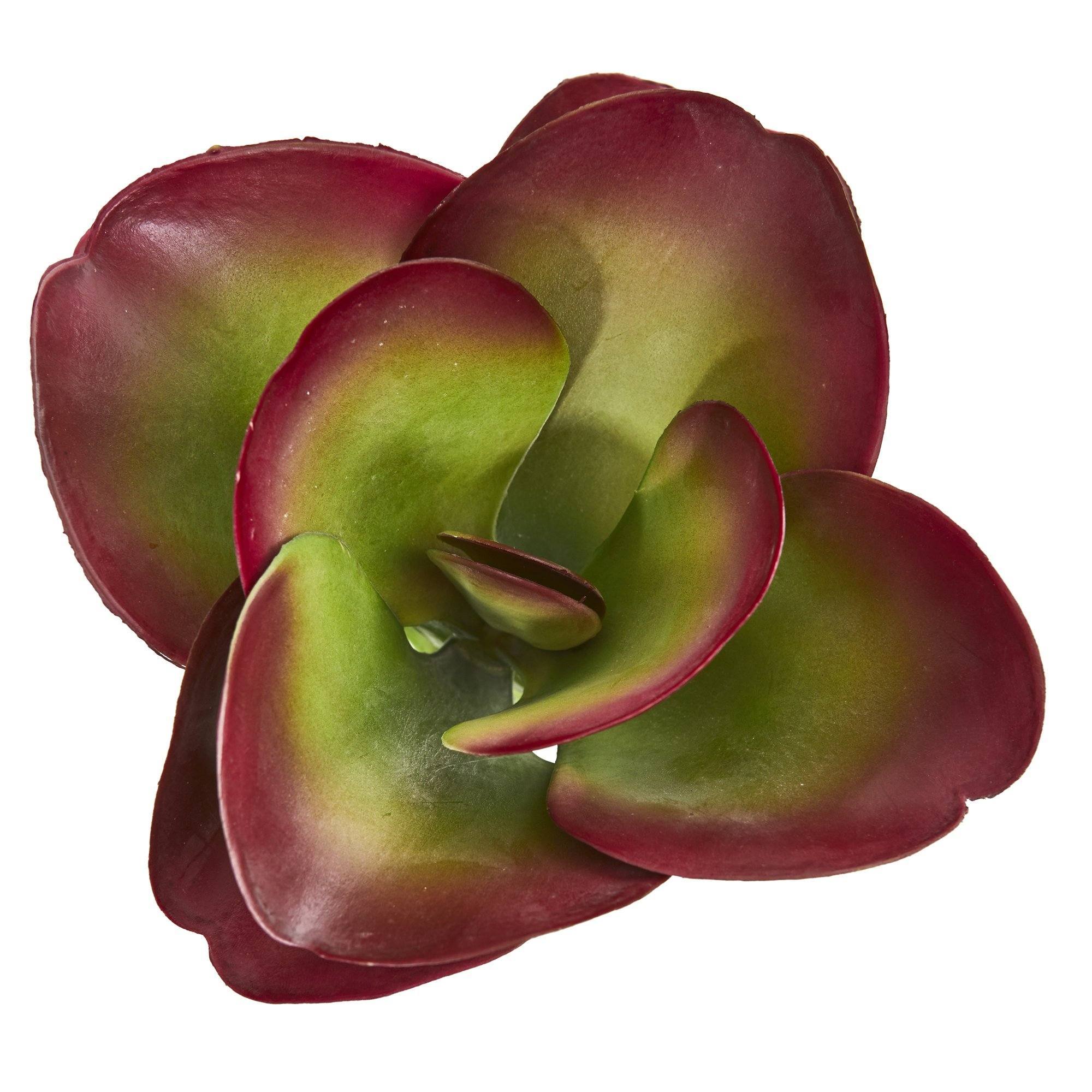 9” Succulent Artificial Plant (Set of 6) - Image 3