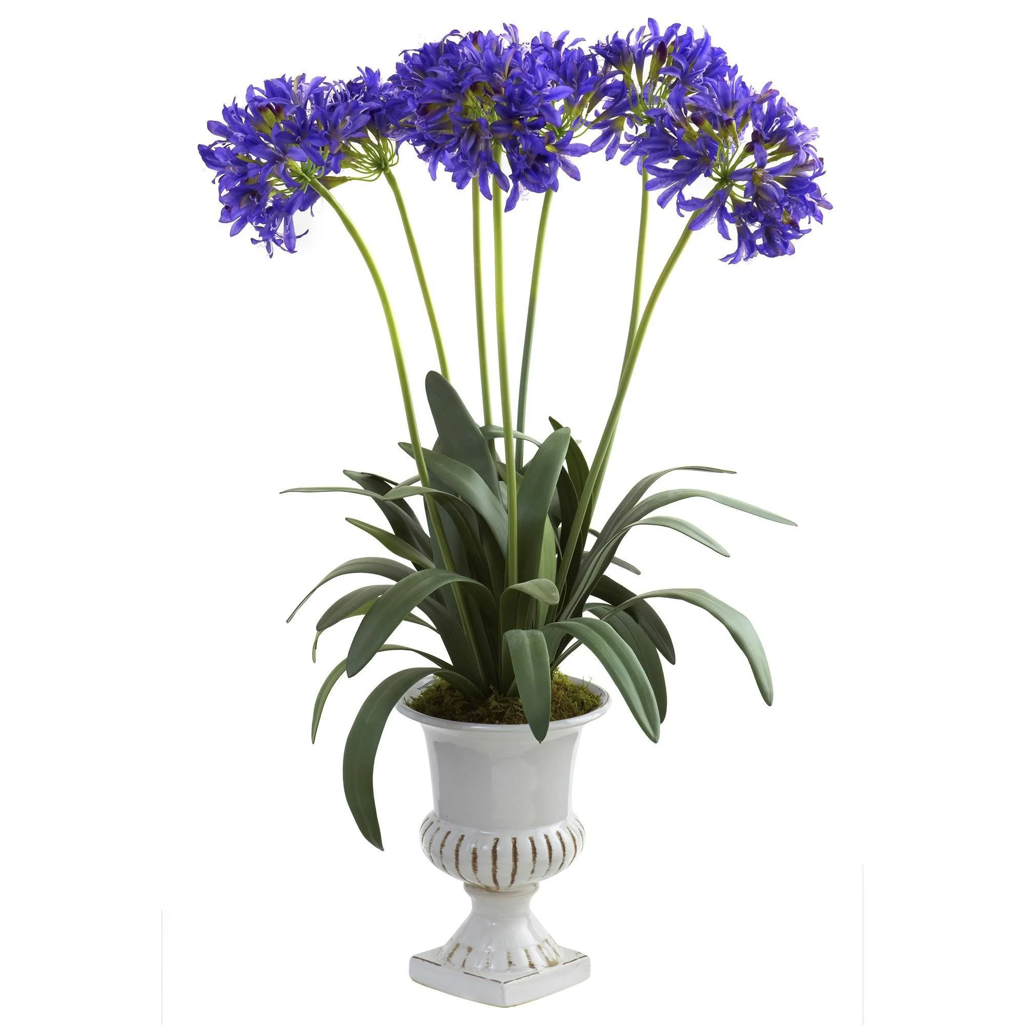 African Lily w/Urn - Image 2