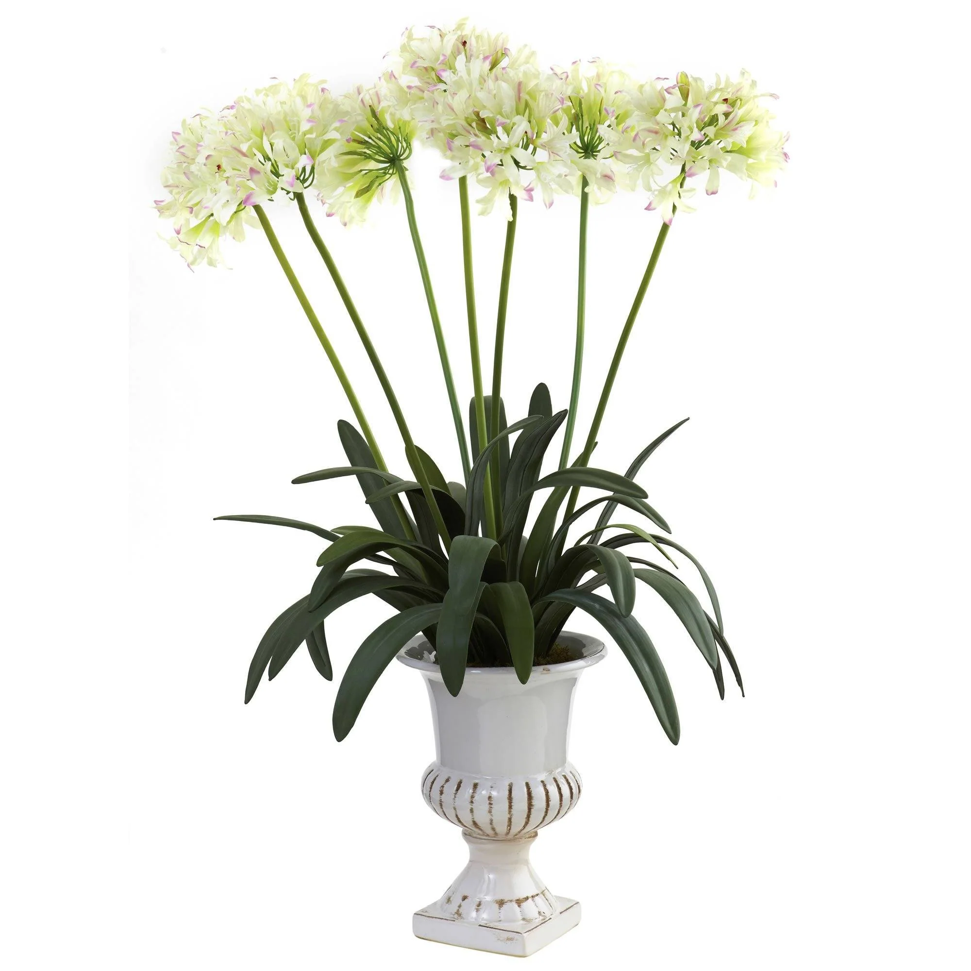 African Lily w/Urn - Image 3