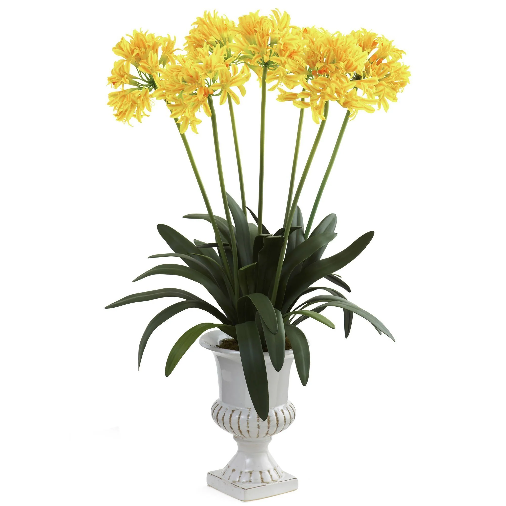 African Lily w/Urn - Image 4