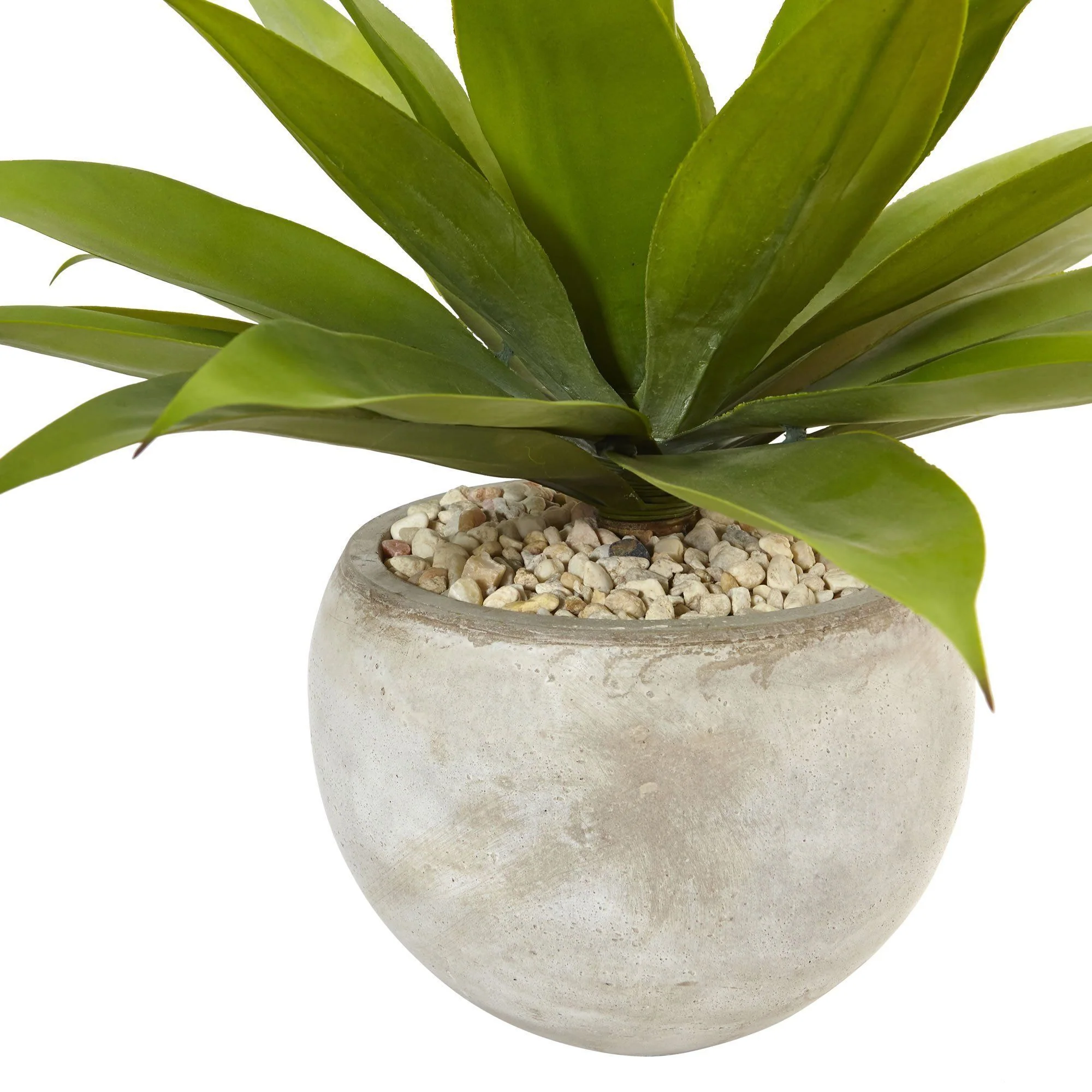 24" Agave in Sand Colored Bowl" - Image 2