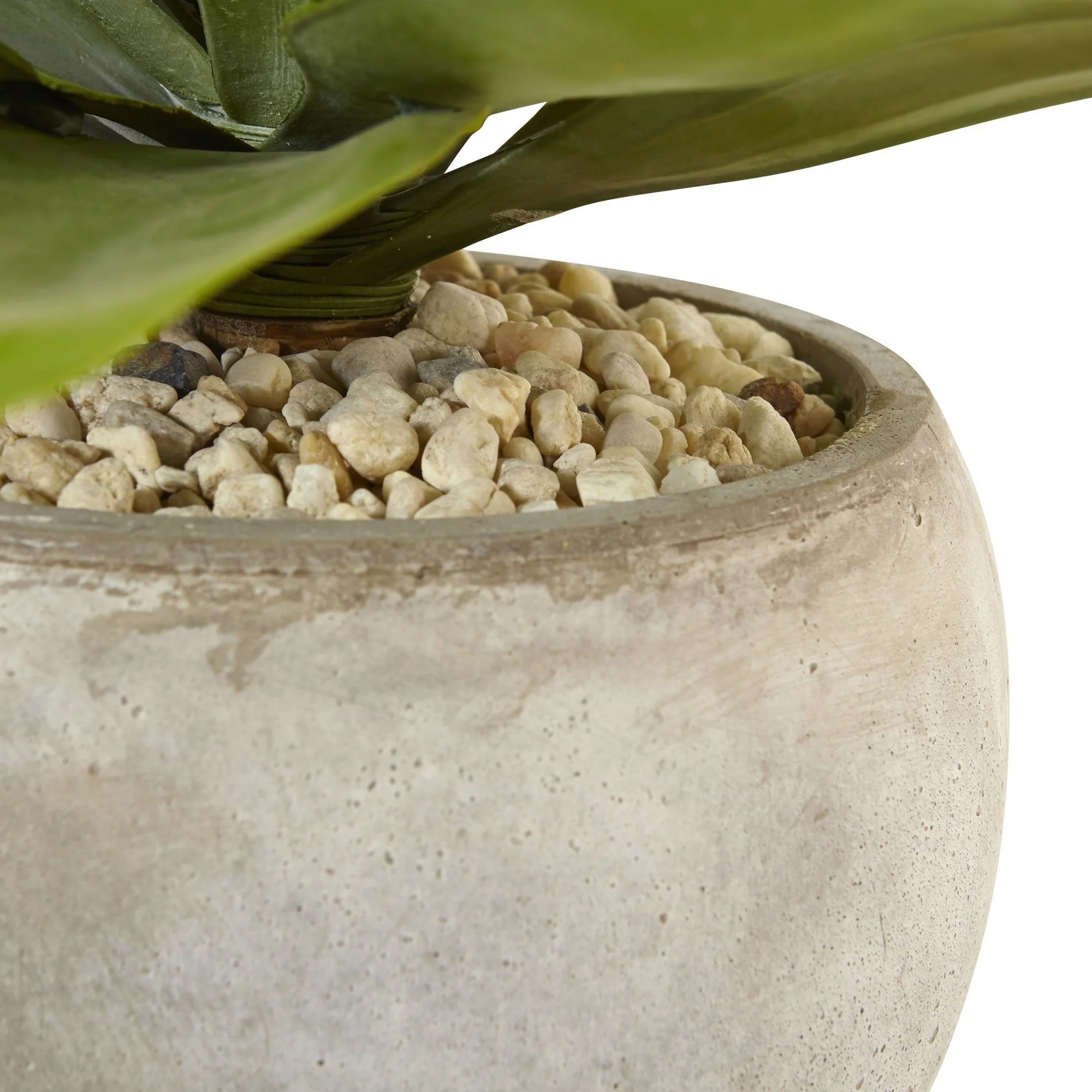 24" Agave in Sand Colored Bowl" - Image 4