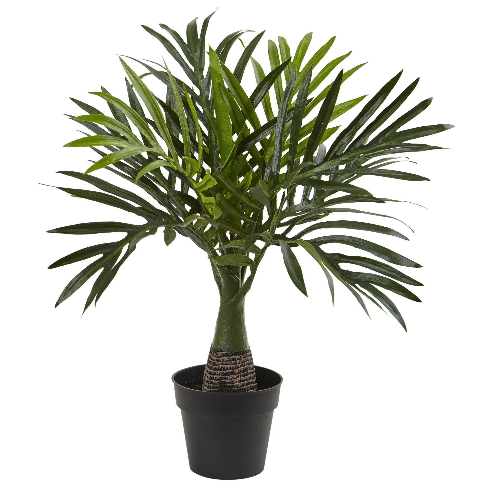 Areca, Fountain & Banana Palm (Set of 3) - Image 2