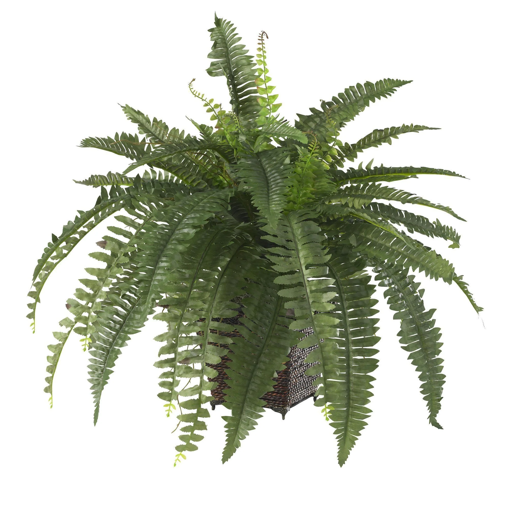 Boston Fern w/Wood Wicker Basket Silk Plant - Image 2