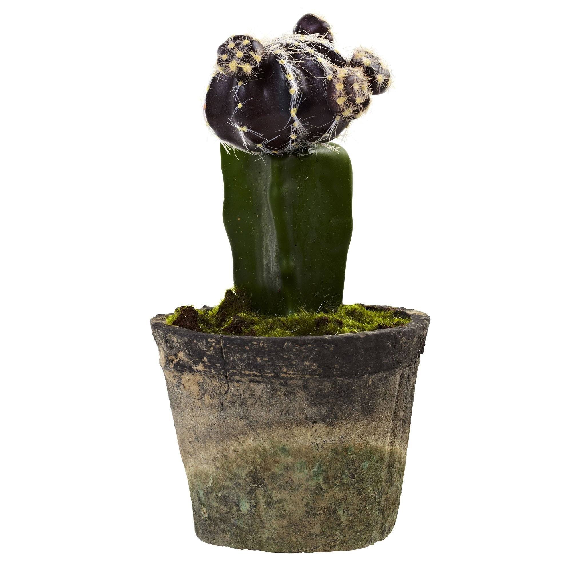 Colorful Cactus (Set of 3) - Image 3