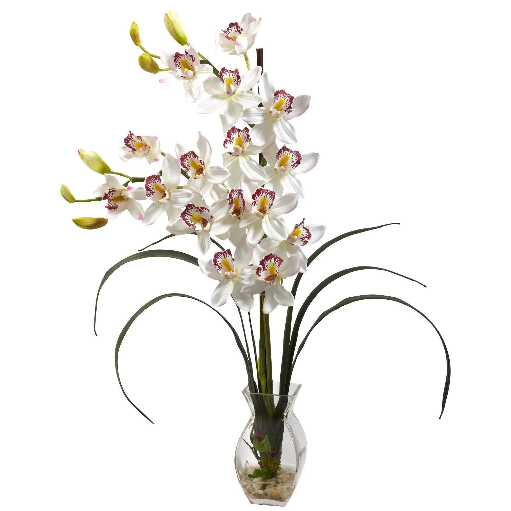 Cymbidium Orchid w/Vase Arrangement - Image 2