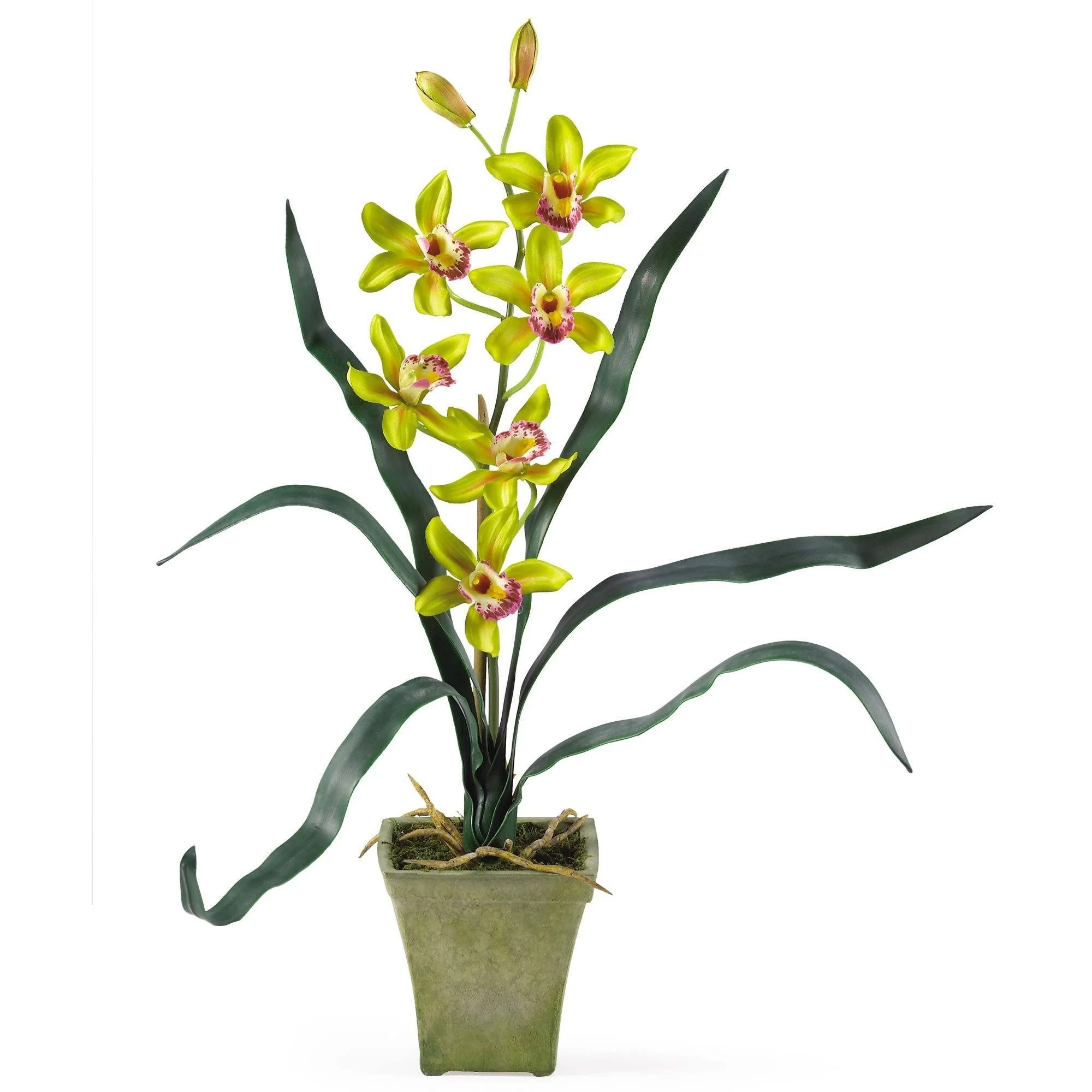 Cymbidium Orchid w/Vase (Set of 3) - Image 2
