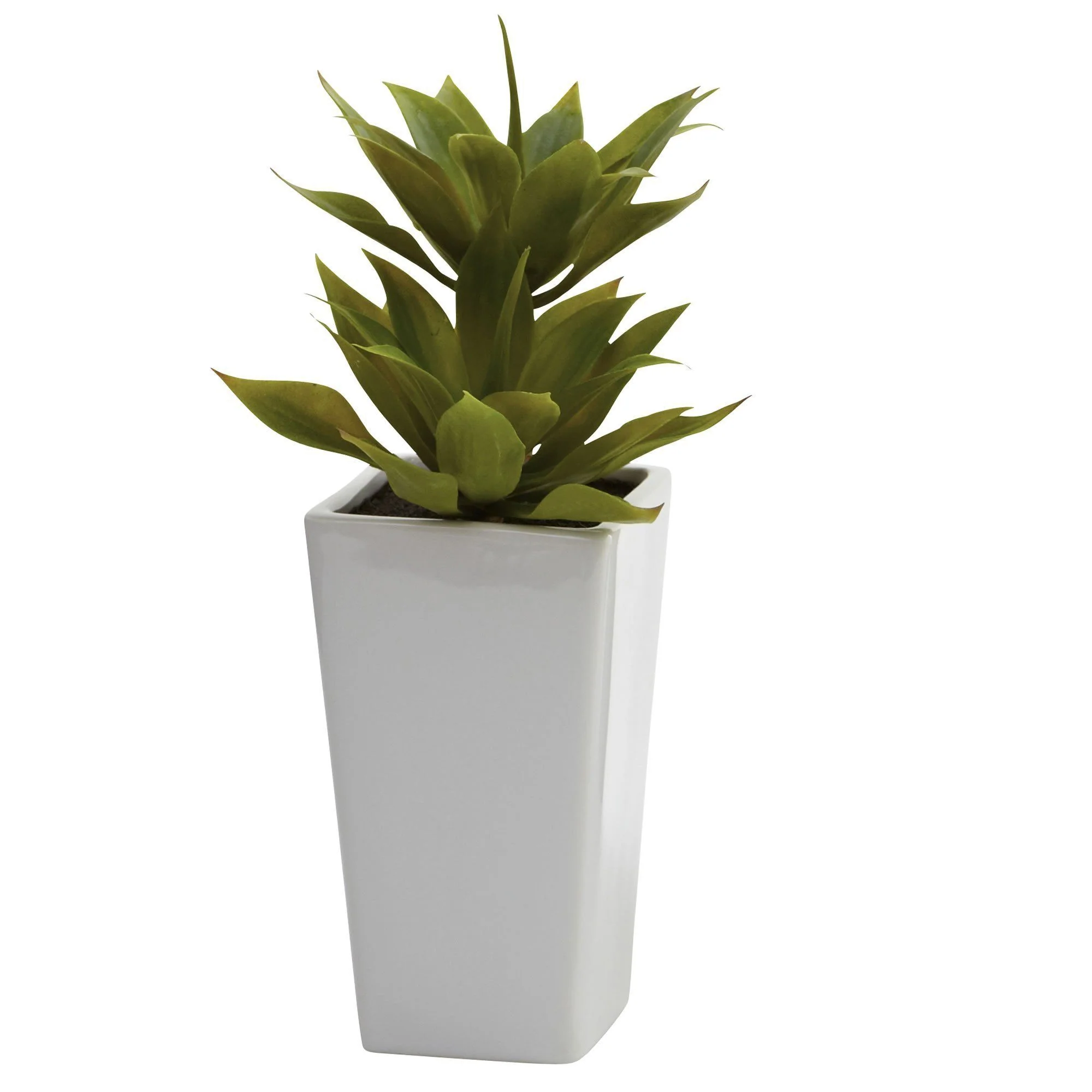 Double Mini Agave w/Planter (Set of 2) - Image 2