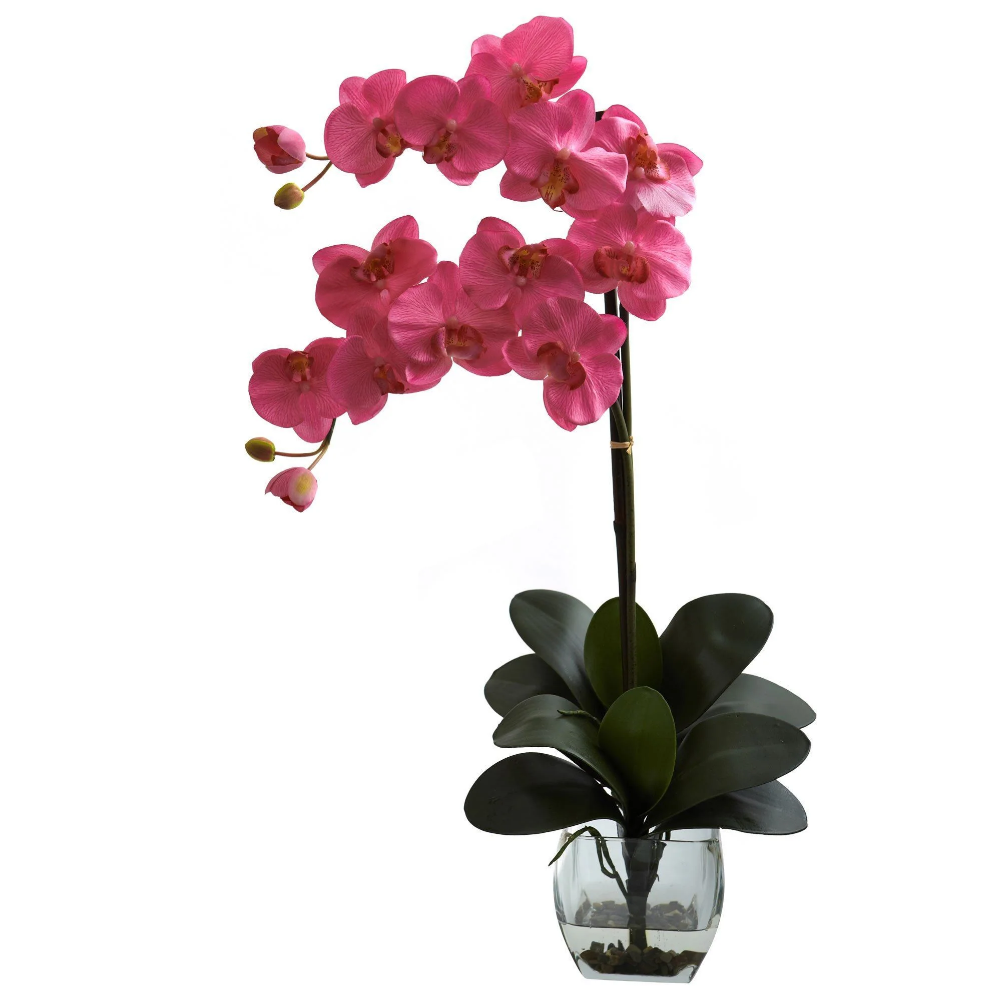 Double Phal Orchid w/Vase Arrangement - Image 3
