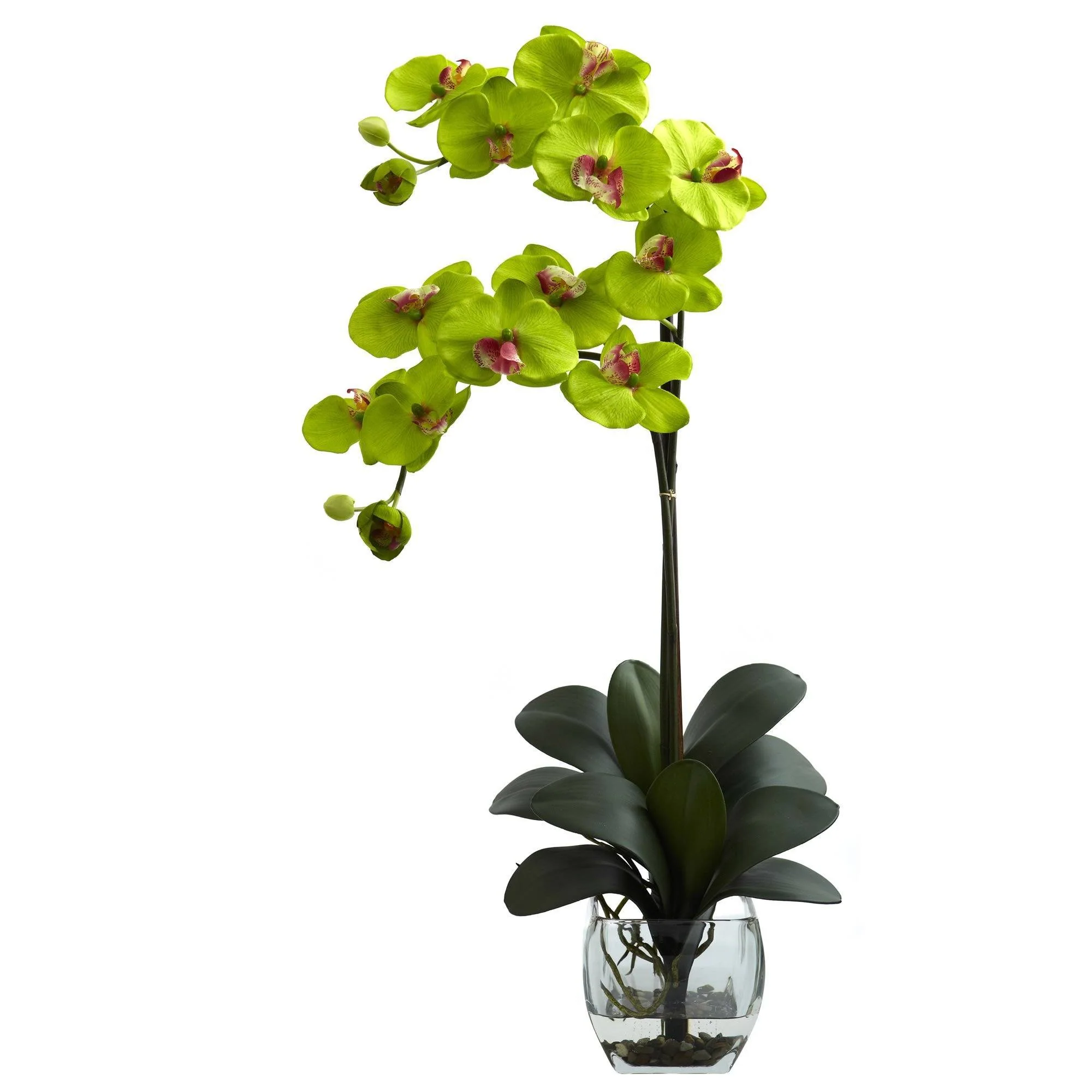 Double Phal Orchid w/Vase Arrangement - Image 4