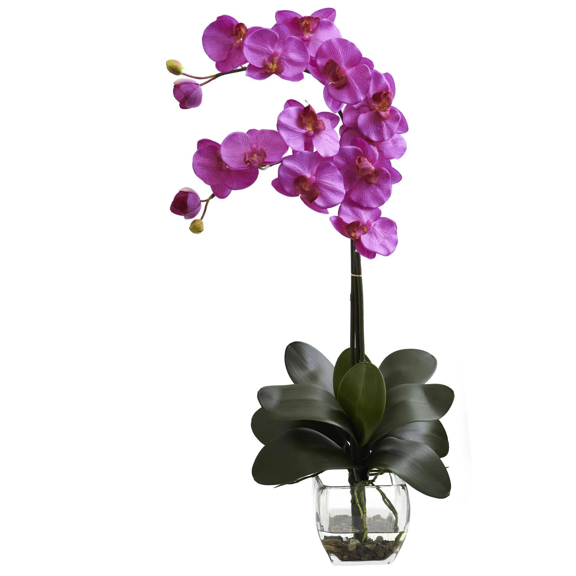 Double Phal Orchid w/Vase Arrangement - Image 6