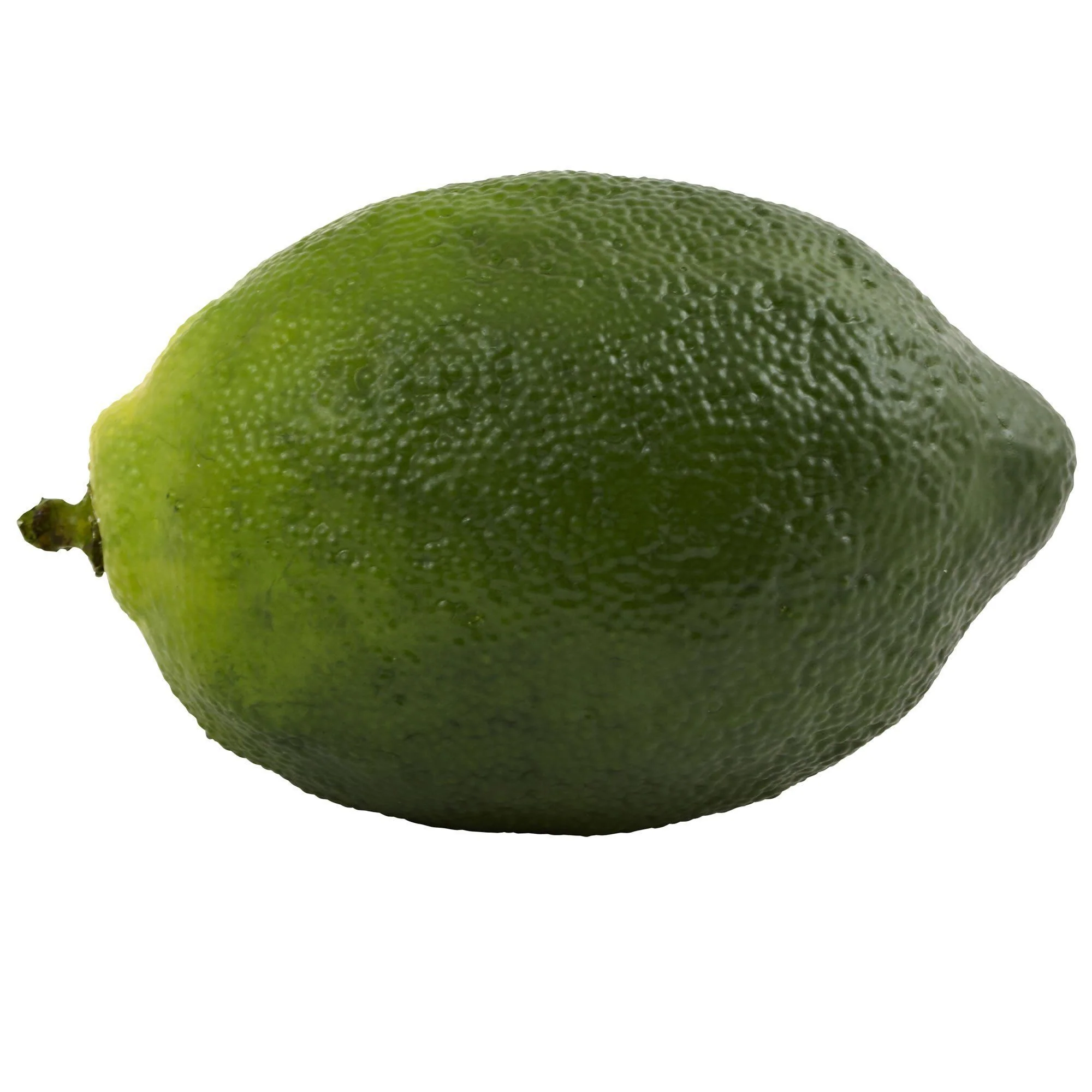 Faux Limes (Set of 12) - Image 3