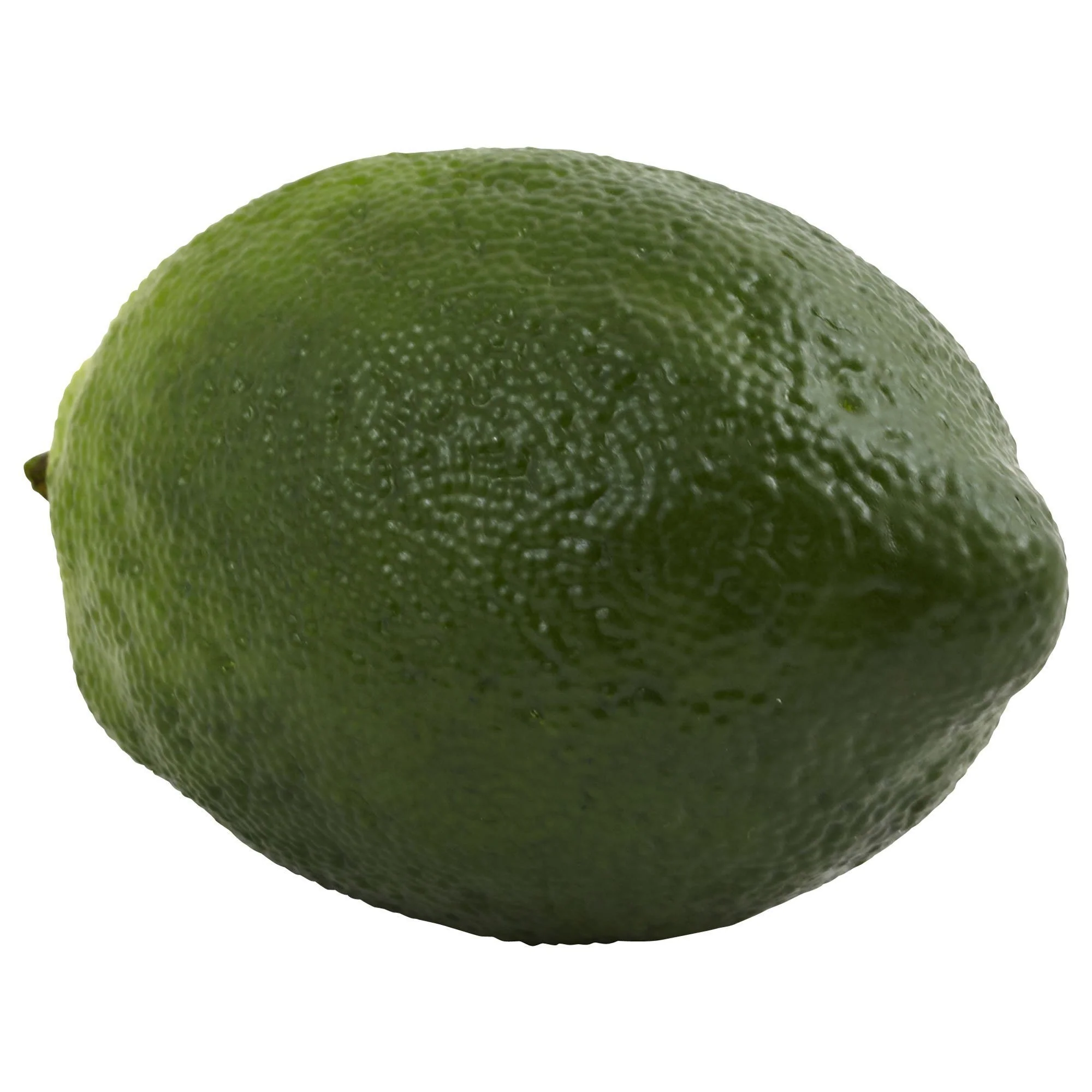 Faux Limes (Set of 12) - Image 4