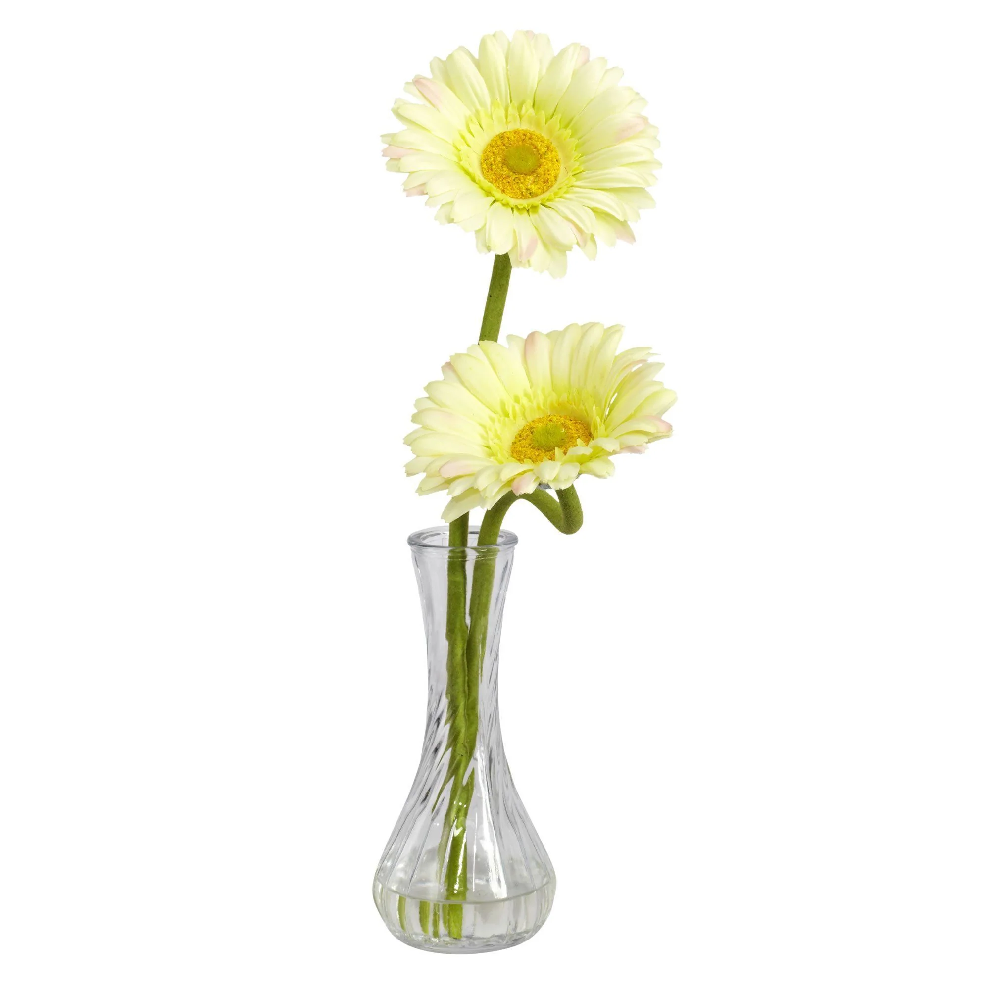 Gerber Daisy w/Bud Vase (Set of 3) - Image 6