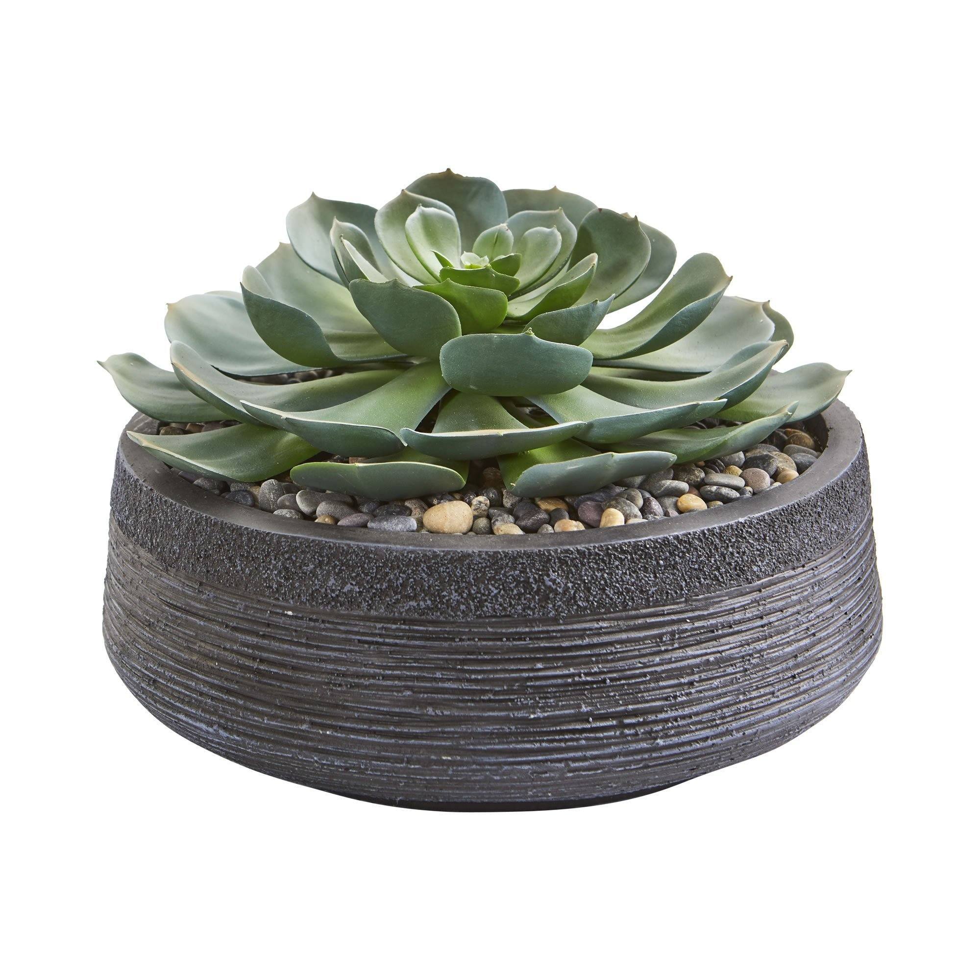 Giant Echeveria Succulent Artificial Plant