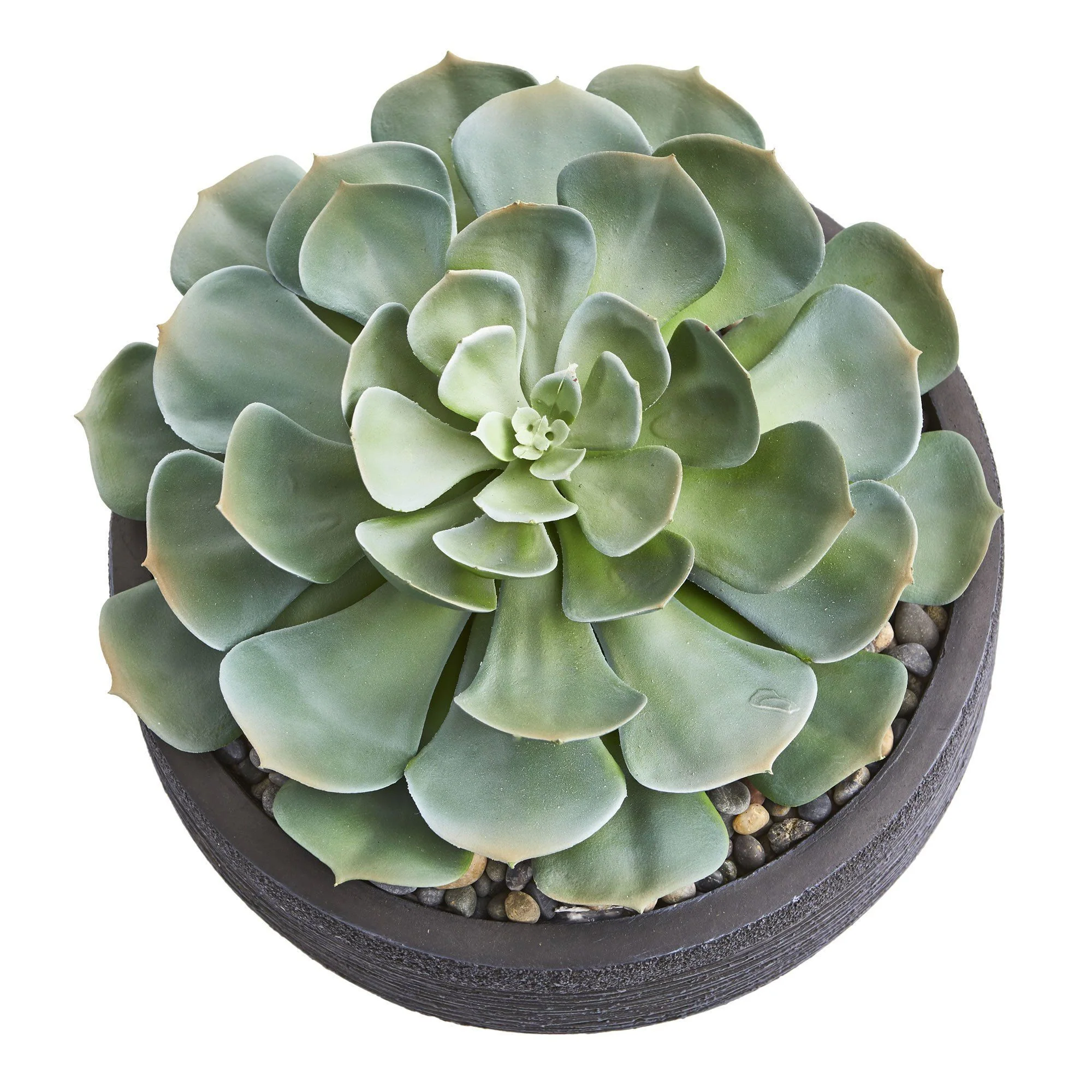 Giant Echeveria Succulent Artificial Plant - Image 2