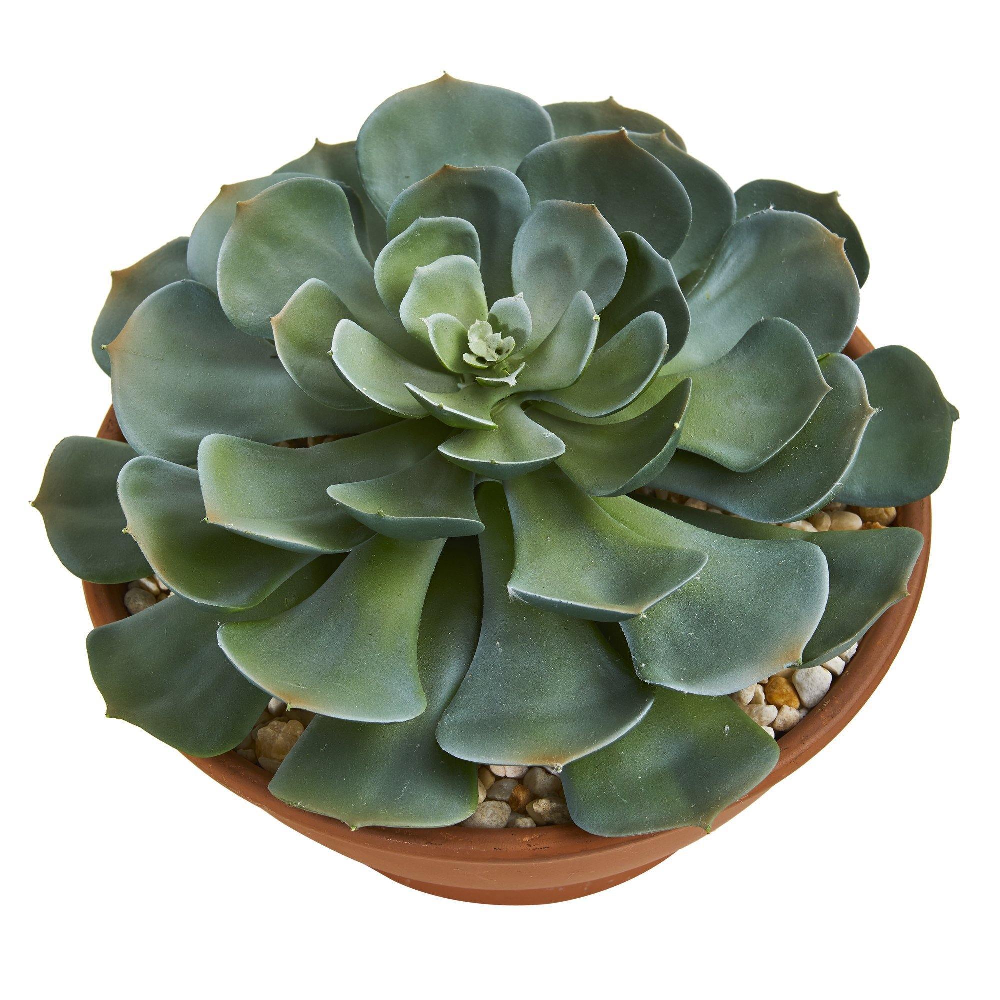 Giant Echeveria Succulent Artificial Plant in Terra Cotta Planter - Image 2