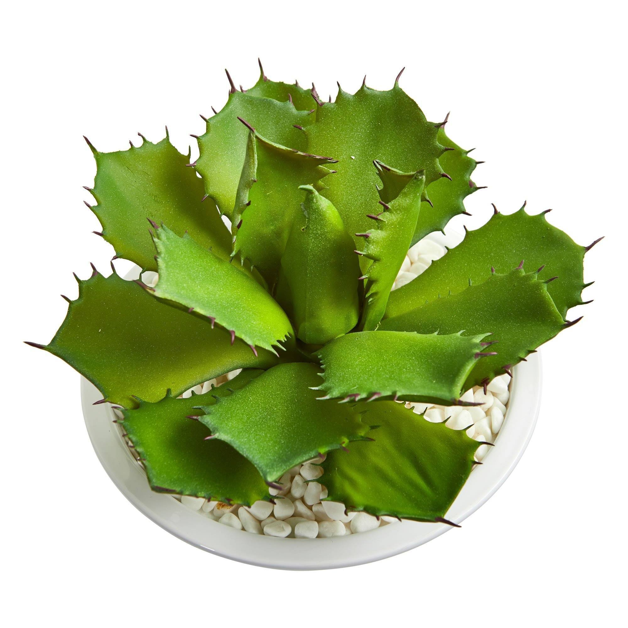 Large Succulent Artificial Plant in White Bowl - Image 3