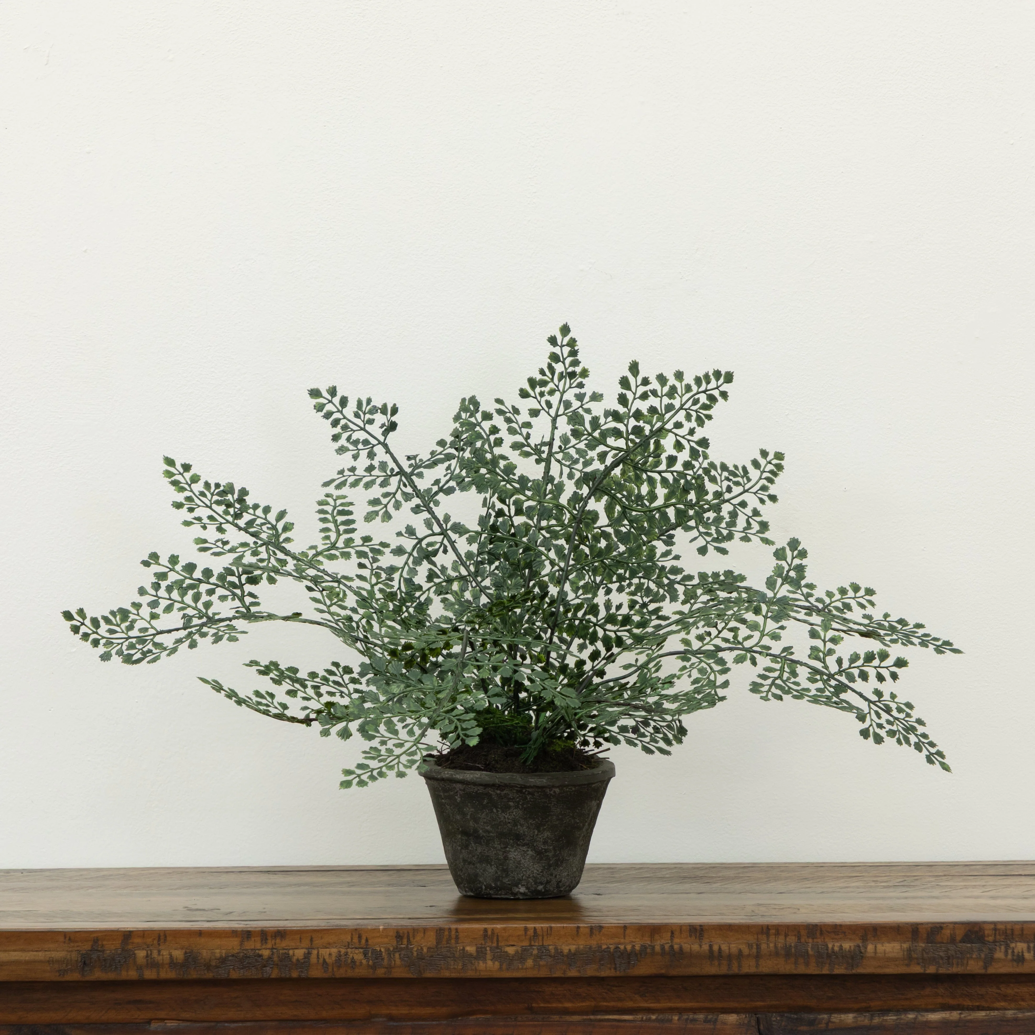 Maiden Hair Artificial Plant in Decorative Planter - Image 3
