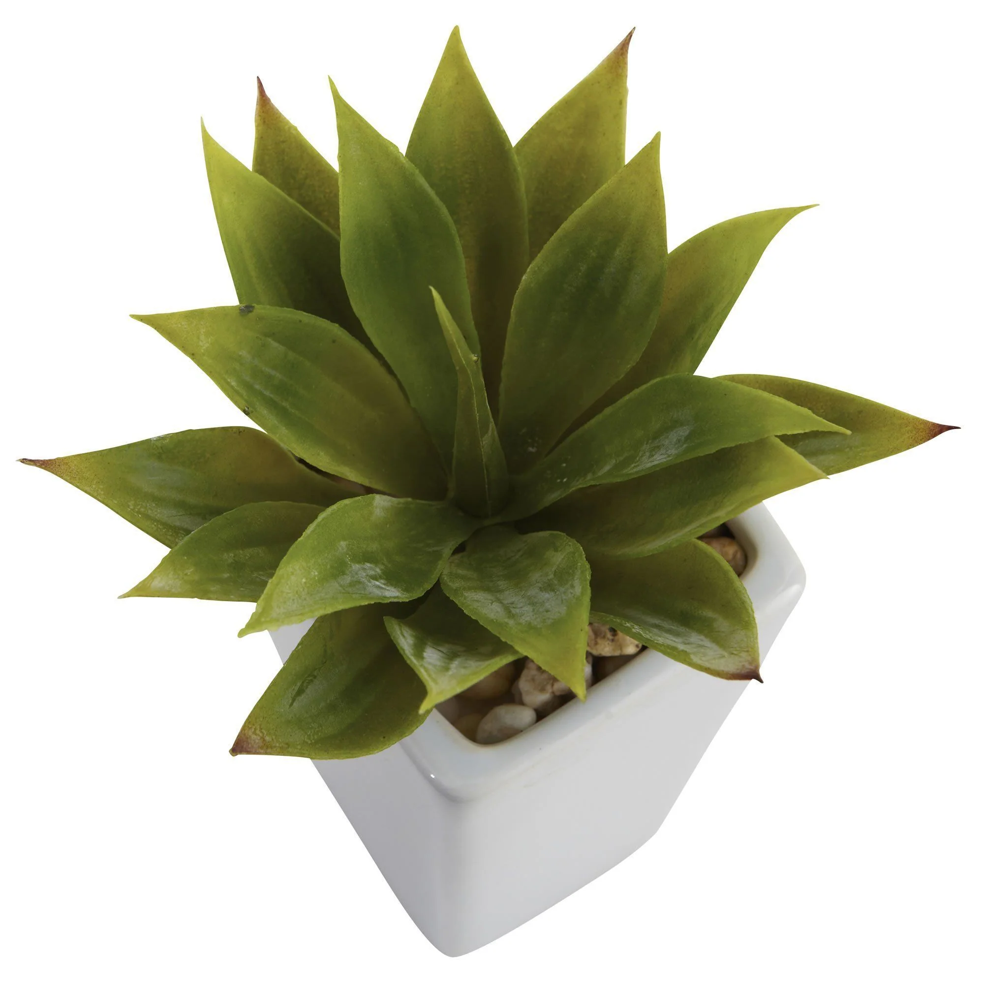 Mini Agave w/ Planter (Set of 3) White - Image 3