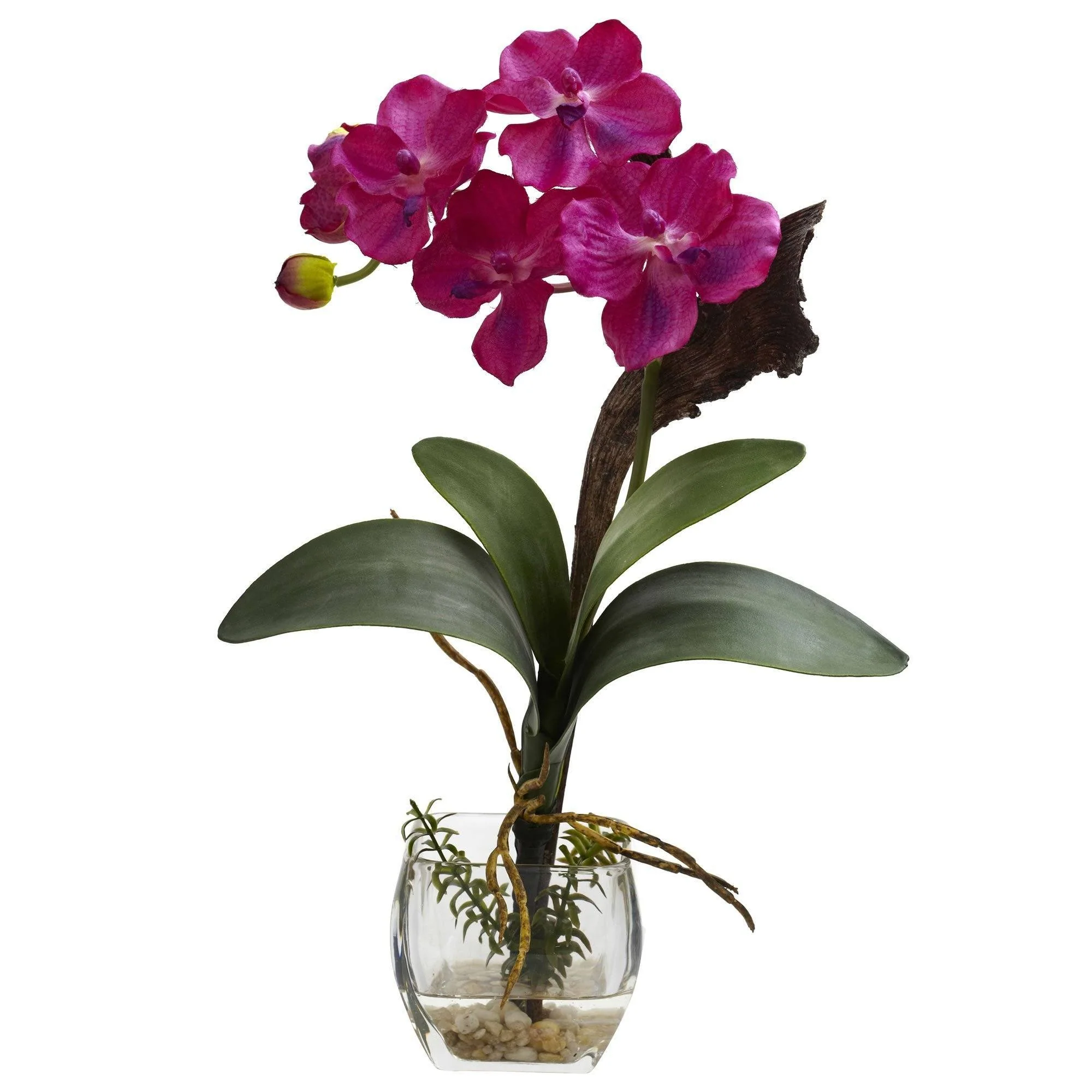 Mini Vanda Orchid Arrangement (Set of 3) - Image 2