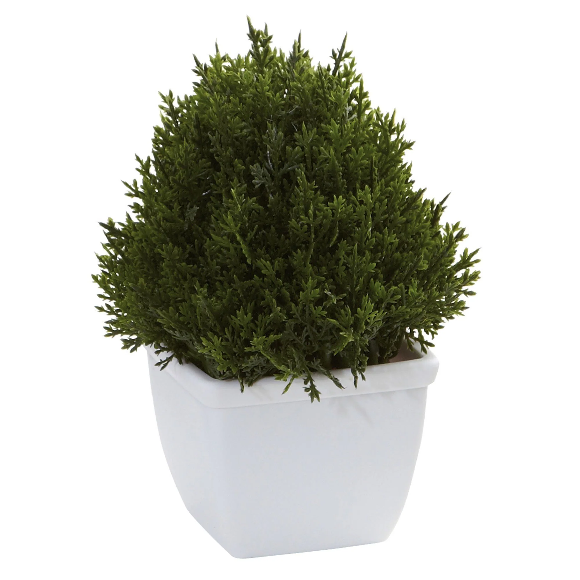 Mixed Cedar Topiary Collection (Set of 3) - Image 3