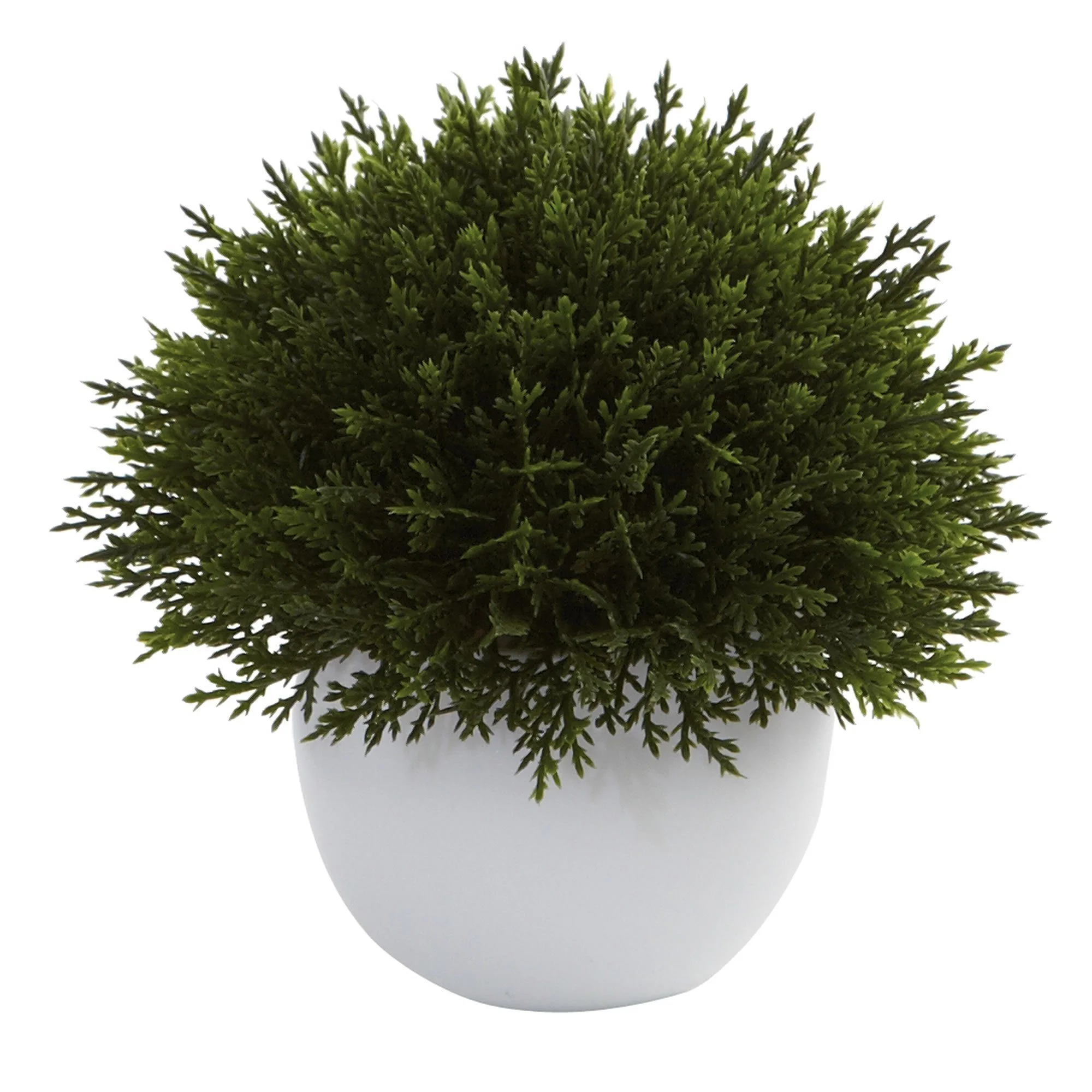 Mixed Cedar Topiary Collection (Set of 3) - Image 4