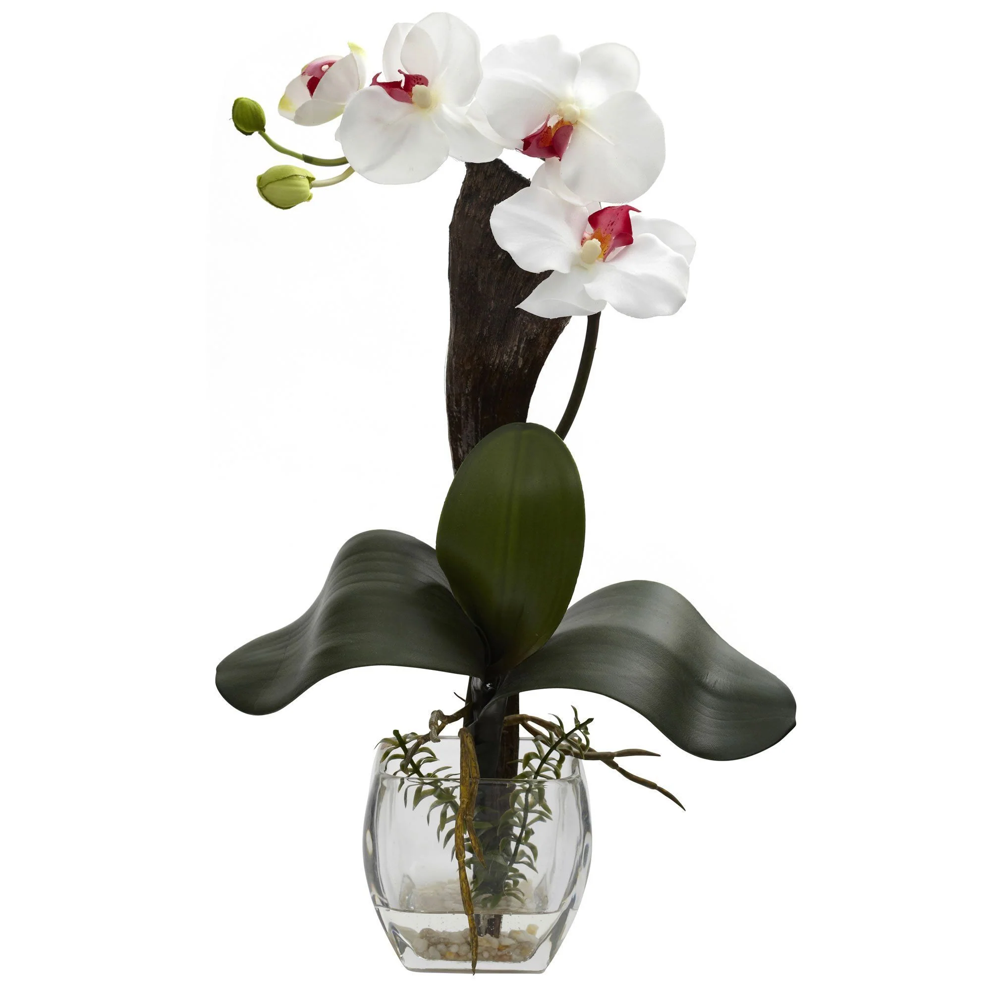 Mixed Orchid w/Cube Arrangements (Set of 3) - Image 8