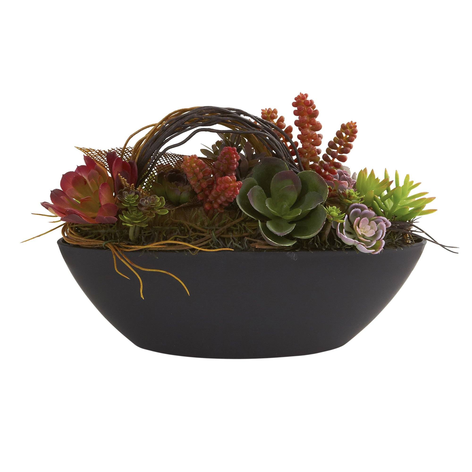 Mixed Succulent w/Oval Black Container - Image 2