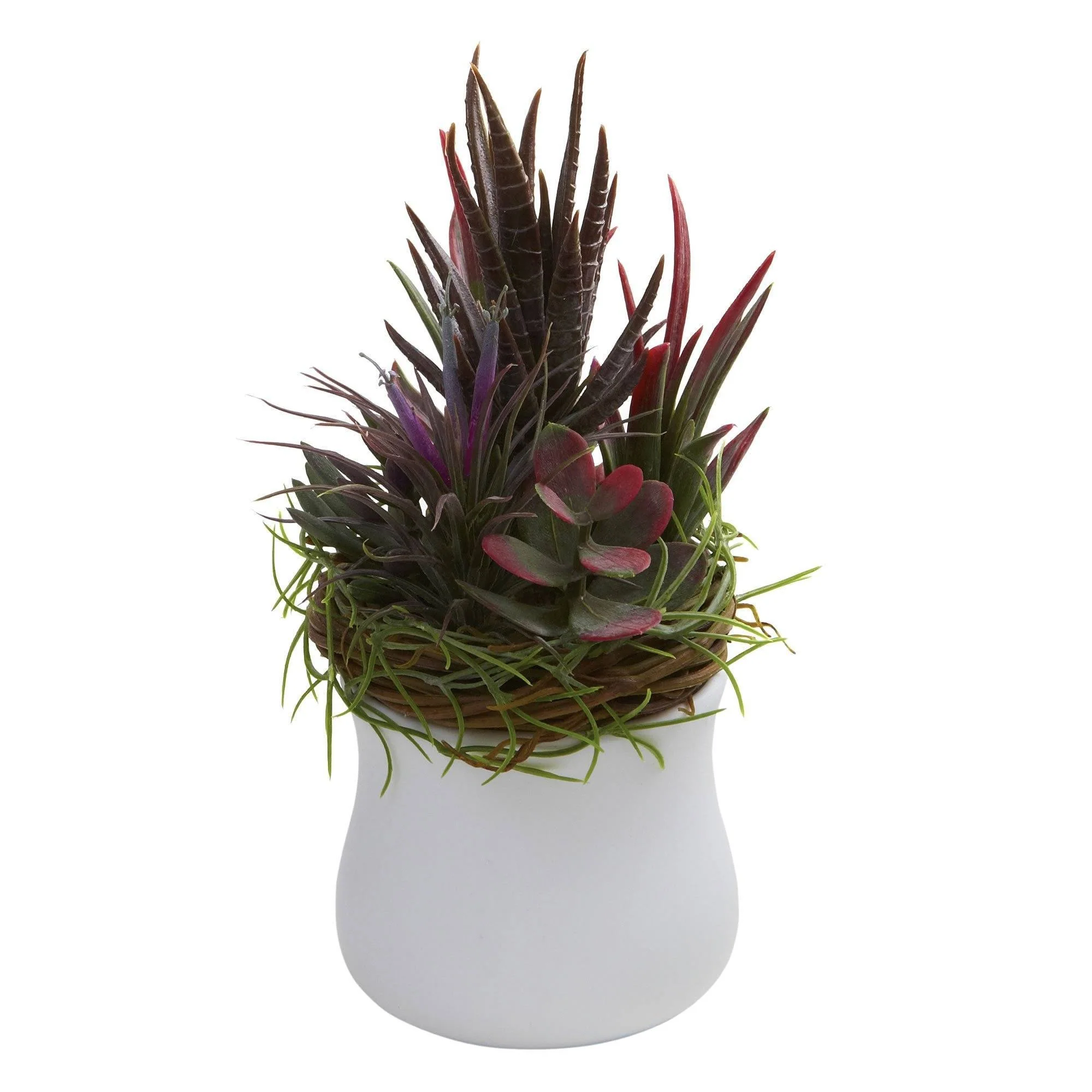 Mixed Succulent w/White Planter (Set of 2) - Image 2
