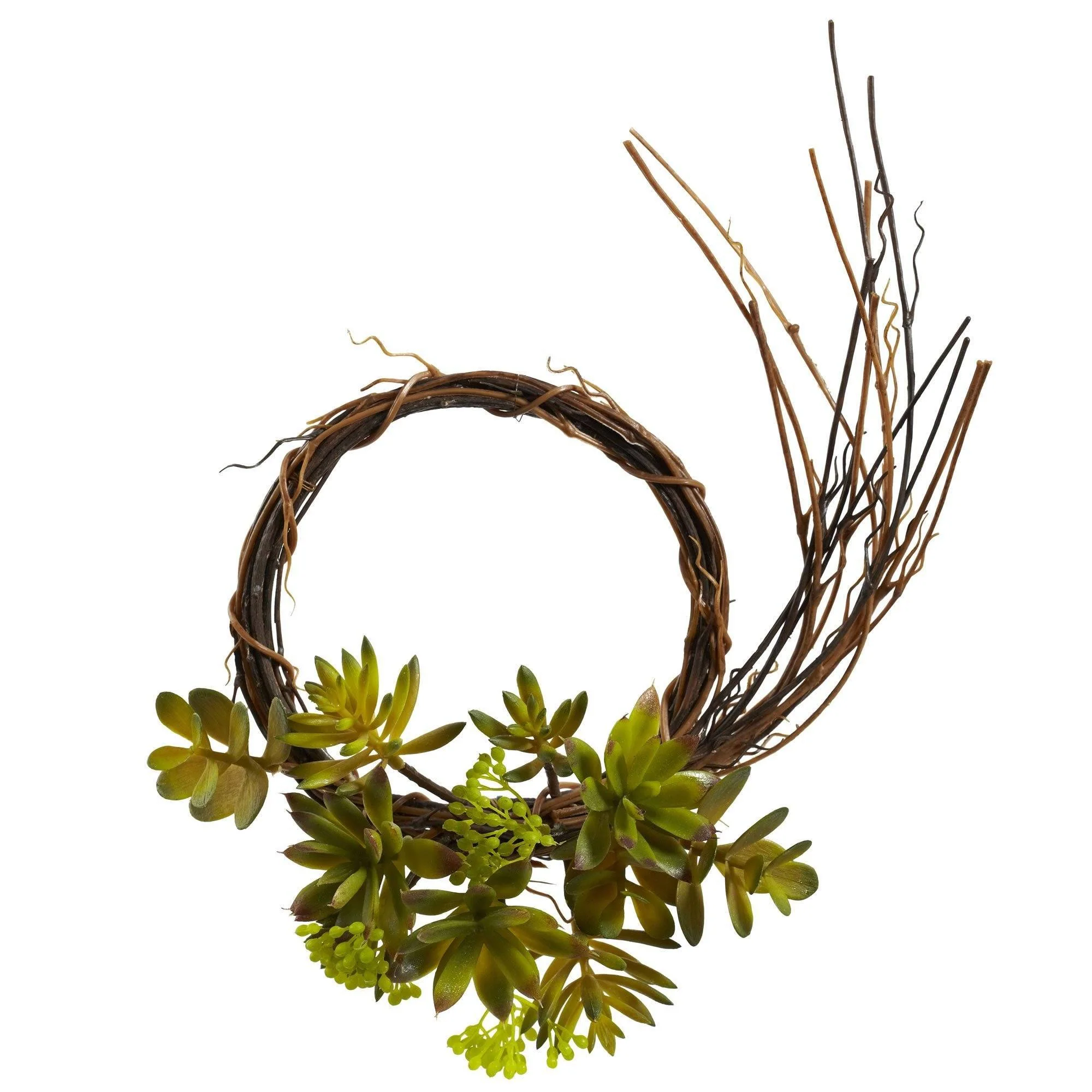 Mixed Succulent Wreath & Spheres (Set of 3) - Image 2