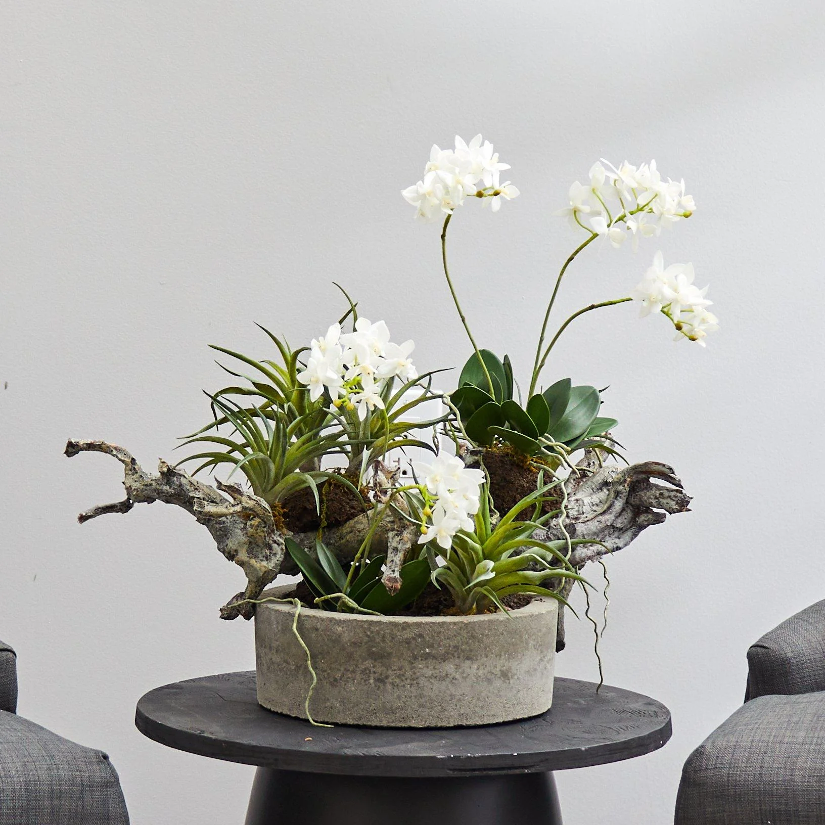Orchid & Succulent Garden w/Driftwood & Decorative Vase - Image 4