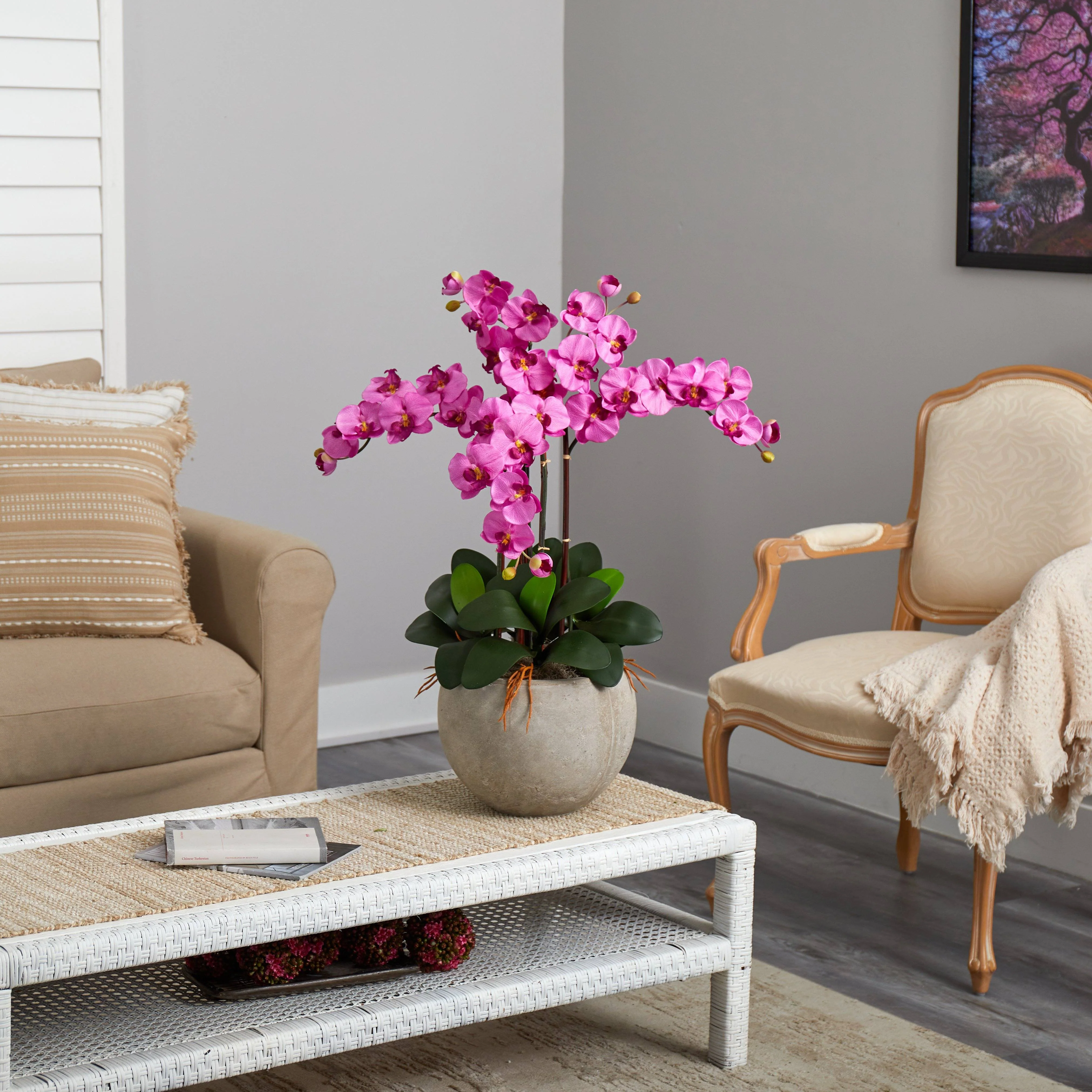 Phalaenopsis Orchid Arrangement with Sand Colored Bowl - Image 10