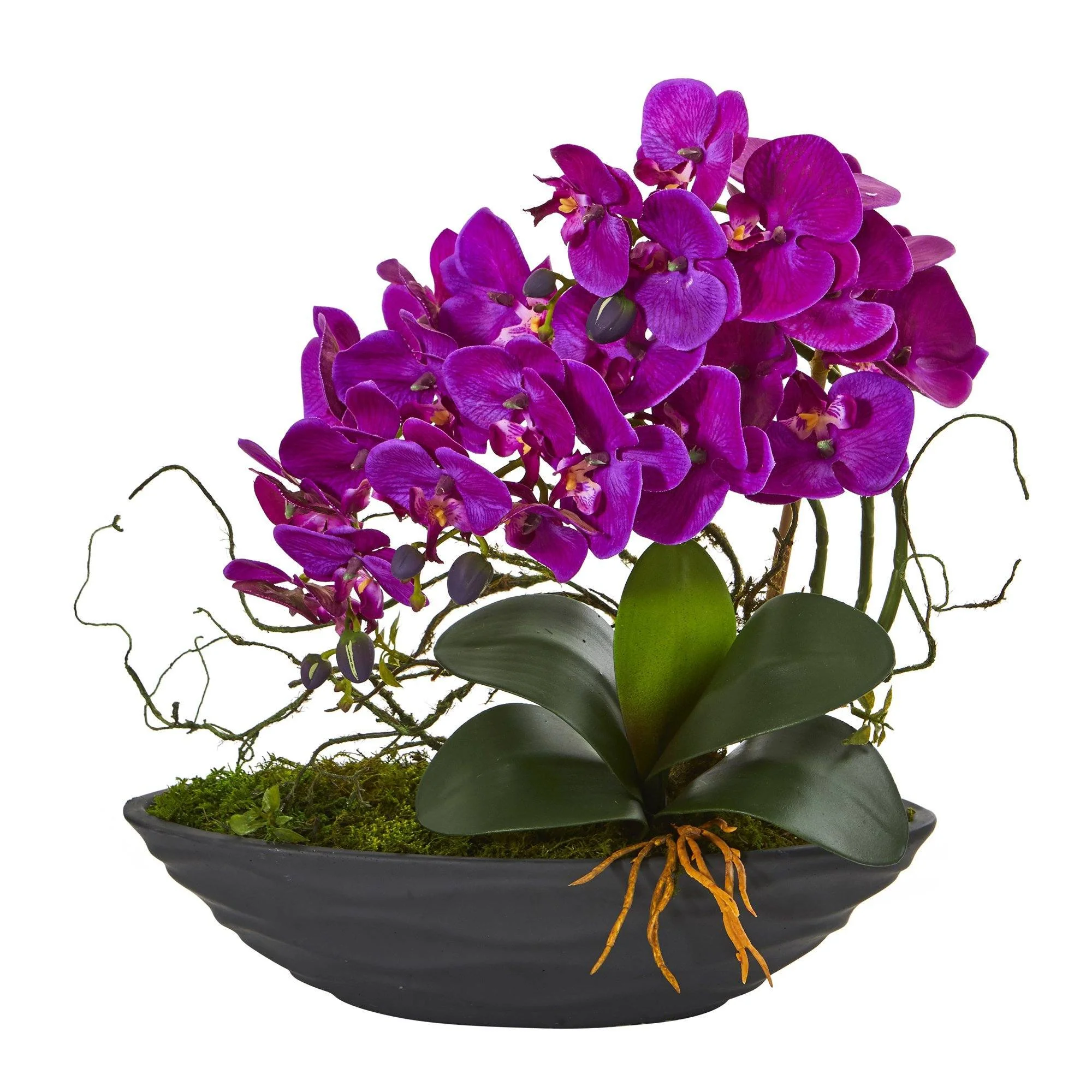 17” Phalaenopsis Orchid Arrangement in Decorative Planter - Image 2