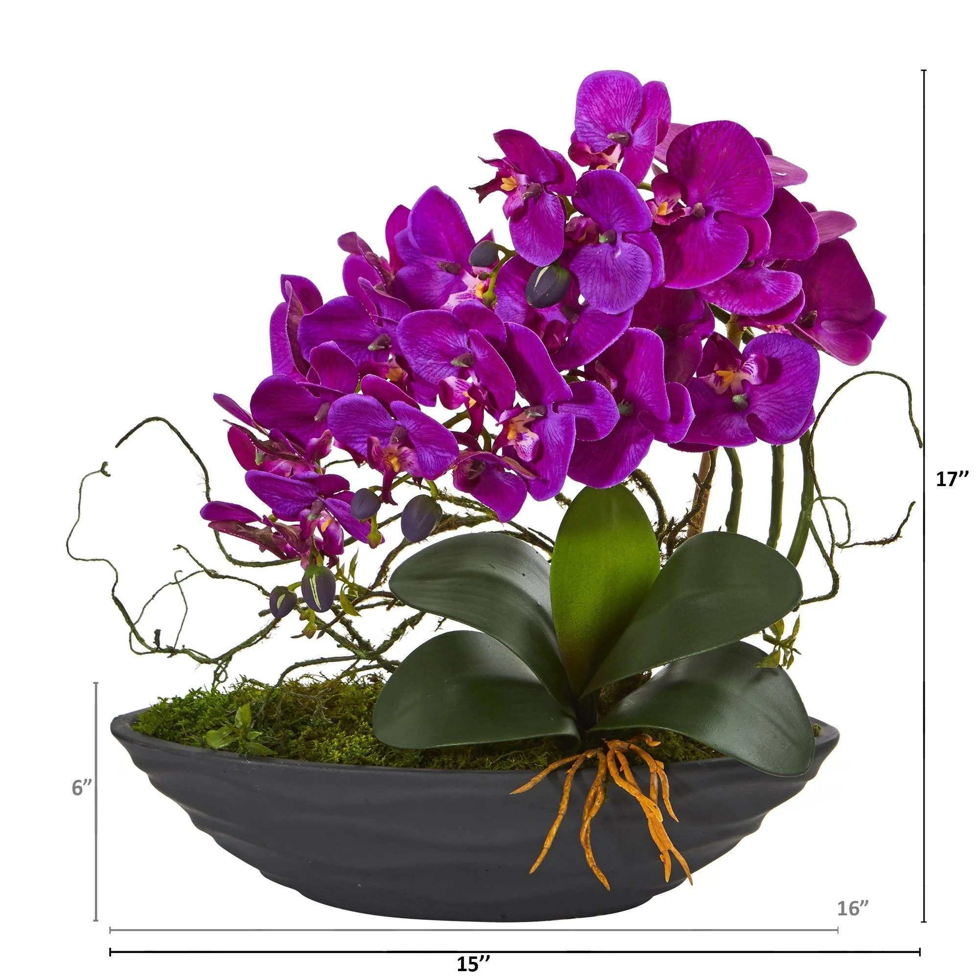 17” Phalaenopsis Orchid Arrangement in Decorative Planter - Image 3