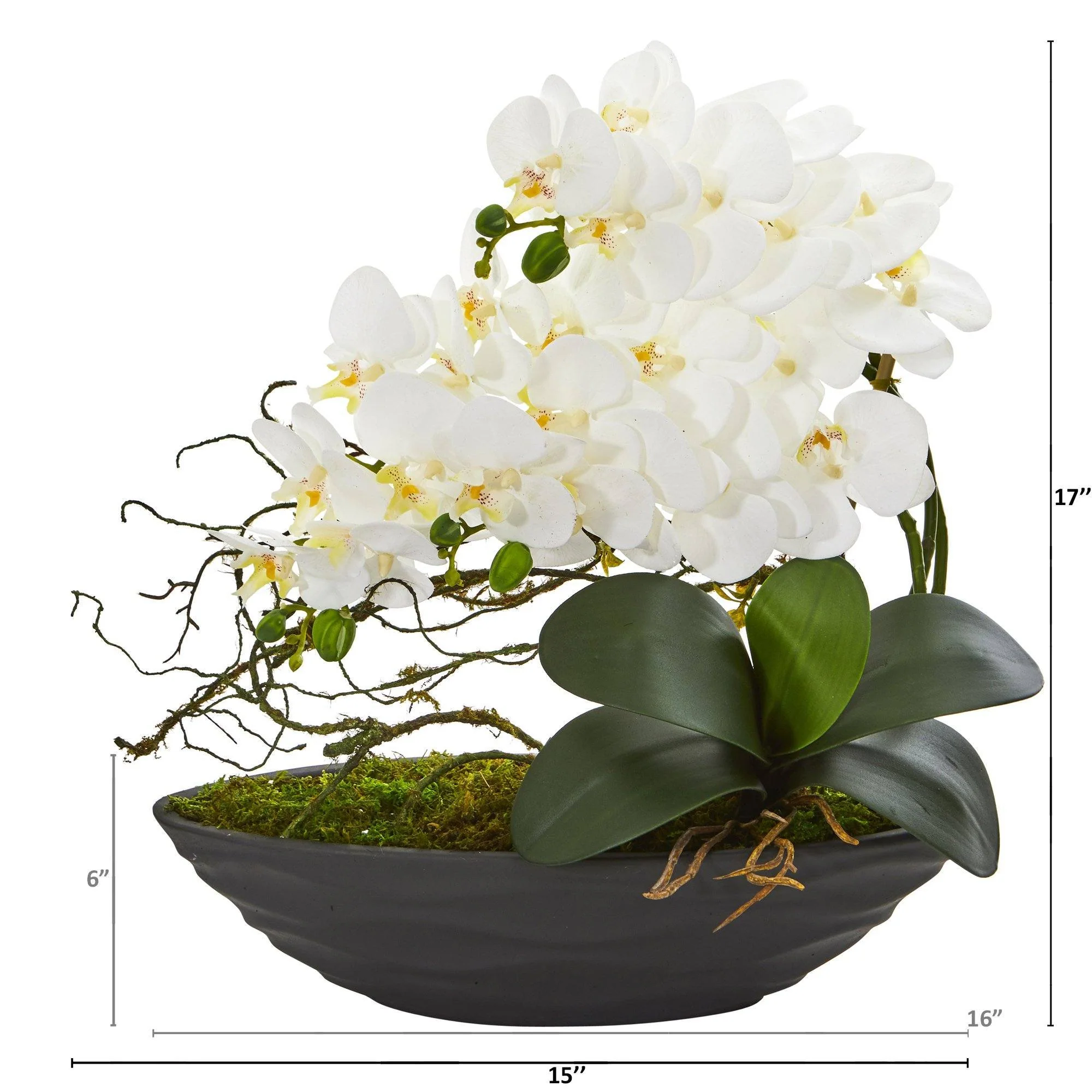 17” Phalaenopsis Orchid Arrangement in Decorative Planter - Image 4