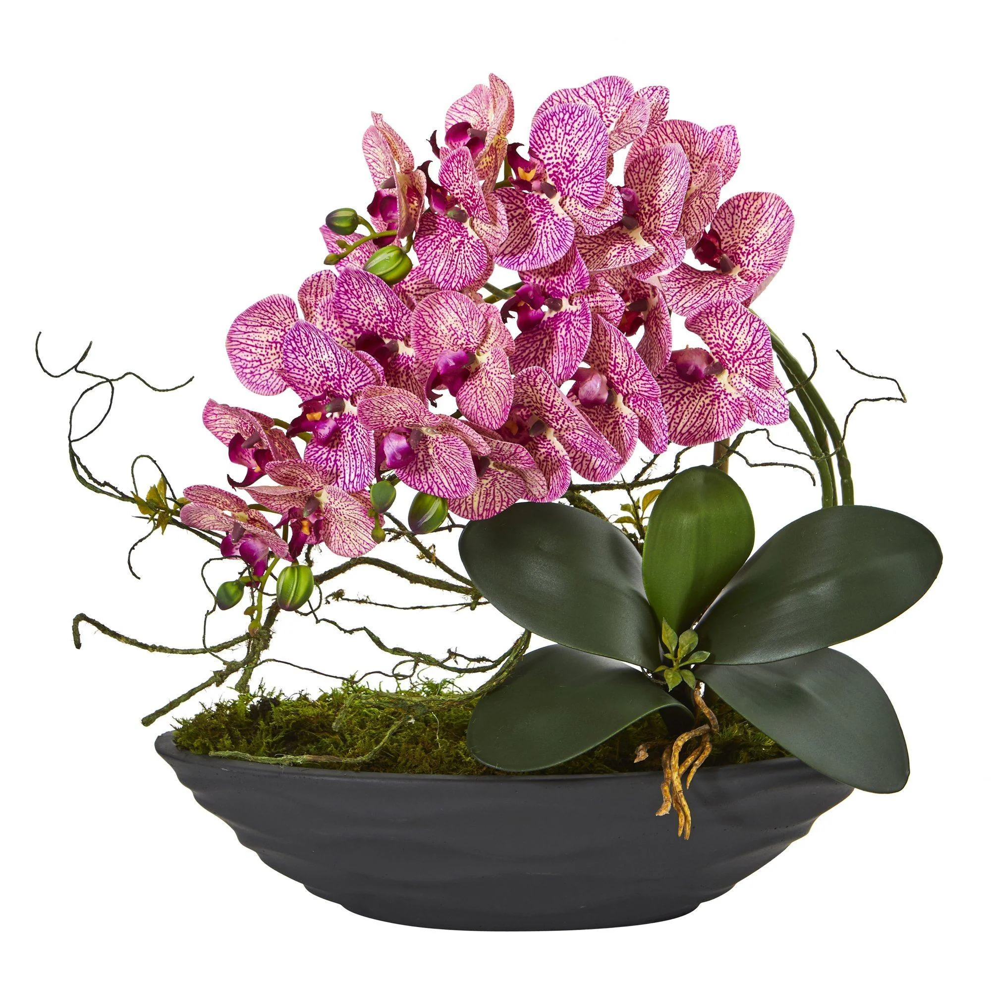 17” Phalaenopsis Orchid Arrangement in Decorative Planter - Image 5