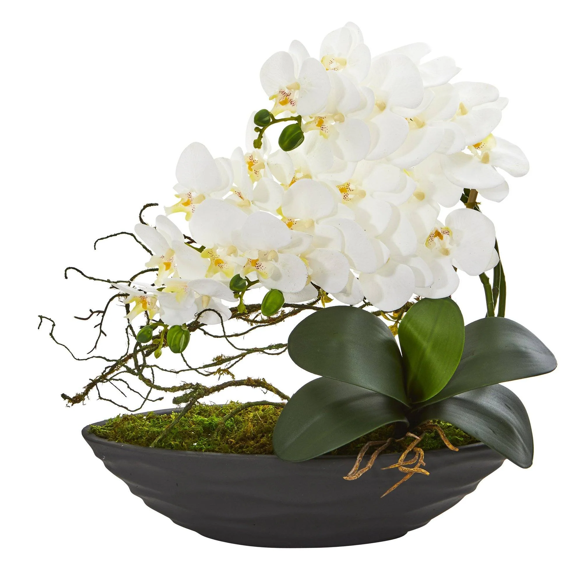 17” Phalaenopsis Orchid Arrangement in Decorative Planter - Image 6